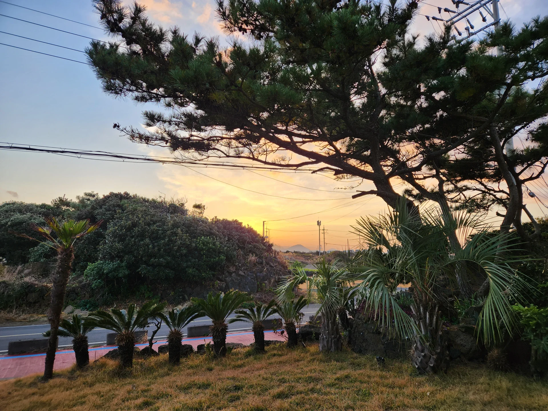 Immerse your screen in the untouched beauty of Korea's natural world. These Korean wallpapers feature sweeping countryside fields blanketed in green, hidden valleys where morning mist clings to the hillsides, and winding streams cutting through rocky terrain. Each photo captures the raw, peaceful energy that makes Korea's landscapes so distinctive.

From the volcanic plains of Jeju Island to the lush wetlands of Suncheon Bay, this collection showcases nature in every mood — dramatic storm clouds rolling over ridgelines, golden sunlight filtering through canopy gaps, and wildflower meadows stretching toward distant peaks. Download these aesthetic phone backgrounds for free and bring a moment of Korean tranquility to your daily life., 해맞이해안로, Jeju — Free Korean aesthetic wallpaper