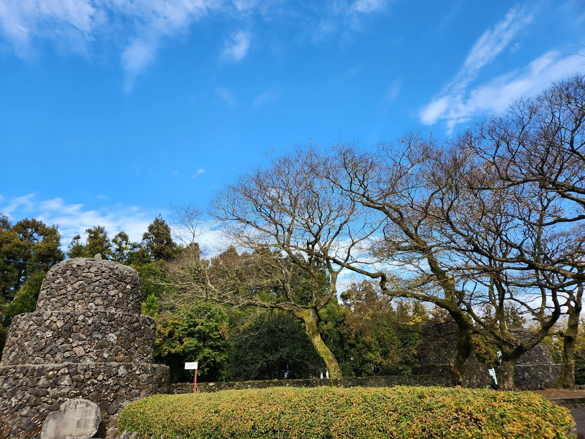 Immerse your screen in the untouched beauty of Korea's natural world. These Korean wallpapers feature sweeping countryside fields blanketed in green, hidden valleys where morning mist clings to the hillsides, and winding streams cutting through rocky terrain. Each photo captures the raw, peaceful energy that makes Korea's landscapes so distinctive.

From the volcanic plains of Jeju Island to the lush wetlands of Suncheon Bay, this collection showcases nature in every mood — dramatic storm clouds rolling over ridgelines, golden sunlight filtering through canopy gaps, and wildflower meadows stretching toward distant peaks. Download these aesthetic phone backgrounds for free and bring a moment of Korean tranquility to your daily life., Bijarim-ro, Jeju — Free Korean aesthetic wallpaper