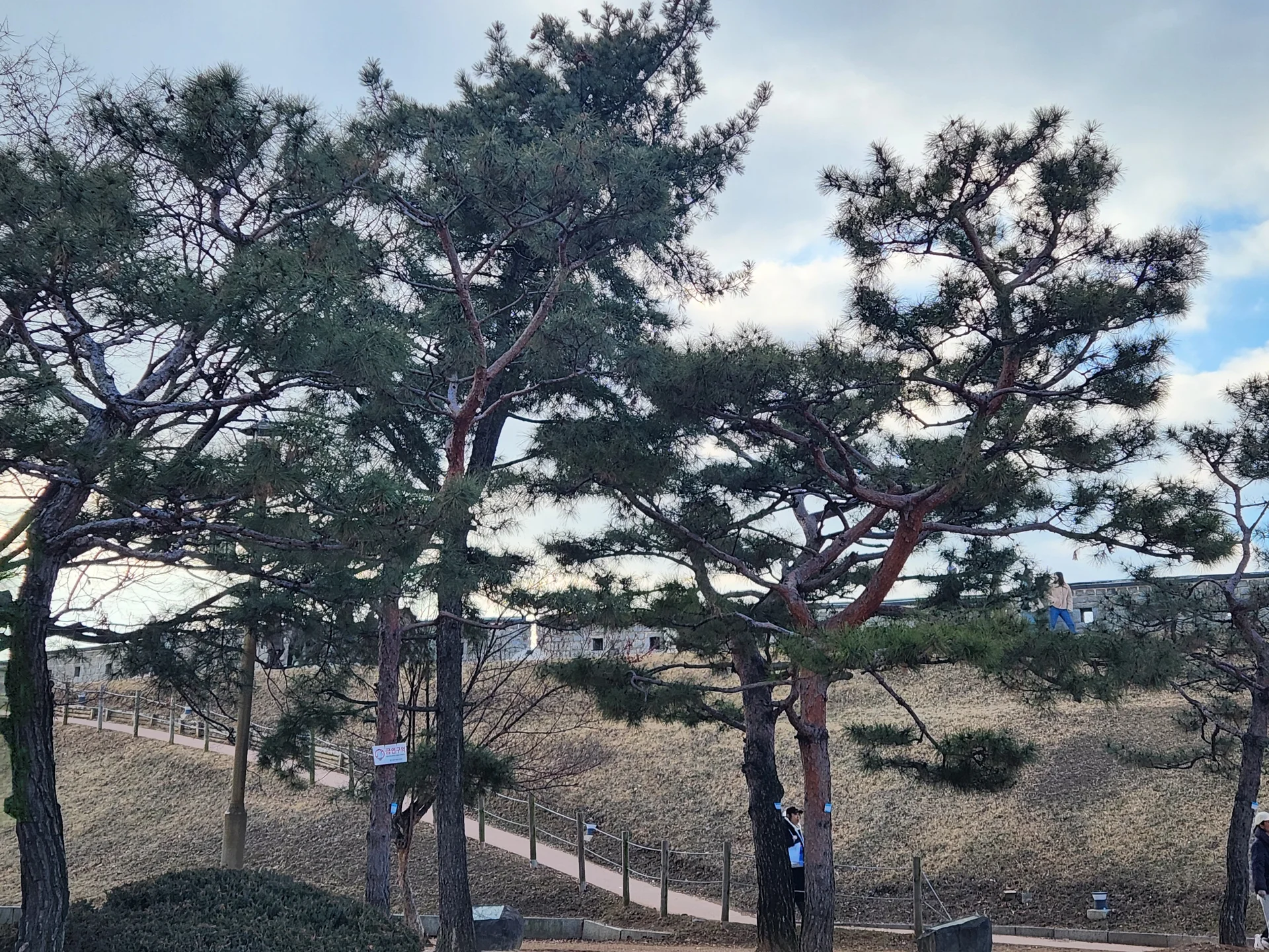 Immerse your screen in the untouched beauty of Korea's natural world. These Korean wallpapers feature sweeping countryside fields blanketed in green, hidden valleys where morning mist clings to the hillsides, and winding streams cutting through rocky terrain. Each photo captures the raw, peaceful energy that makes Korea's landscapes so distinctive.

From the volcanic plains of Jeju Island to the lush wetlands of Suncheon Bay, this collection showcases nature in every mood — dramatic storm clouds rolling over ridgelines, golden sunlight filtering through canopy gaps, and wildflower meadows stretching toward distant peaks. Download these aesthetic phone backgrounds for free and bring a moment of Korean tranquility to your daily life., Jeongjo-ro 905beon-gil, 팔달구, Suwon-si — Free Korean aesthetic wallpaper