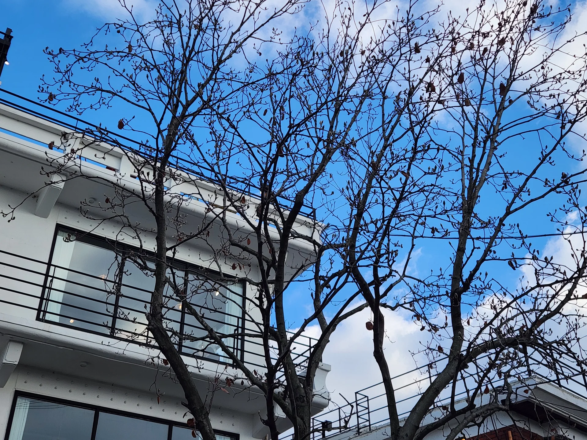 Experience the vibrant pulse of Korean city life through these dynamic street wallpapers. Bustling crosswalks in Myeongdong, colorful shop fronts in Hongdae, rain-slicked sidewalks reflecting neon signs, and everyday moments of commuters, street vendors, and cyclists moving through Seoul's urban rhythm — each image tells a story of a city constantly in motion.

Beyond Seoul, you'll find the charming streetscapes of Busan's hillside neighborhoods, the retro storefronts of Jeonju, and quiet residential lanes where laundry dries on balconies above parked scooters. These free Korean street wallpapers are perfect as an aesthetic phone background for anyone captivated by the raw energy and visual richness of Korean urban culture., Sinpung-ro, 팔달구, Suwon-si — Free Korean aesthetic wallpaper