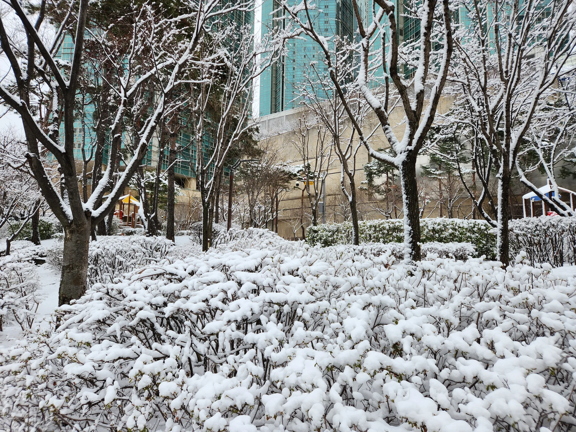 Immerse your screen in the untouched beauty of Korea's natural world. These Korean wallpapers feature sweeping countryside fields blanketed in green, hidden valleys where morning mist clings to the hillsides, and winding streams cutting through rocky terrain. Each photo captures the raw, peaceful energy that makes Korea's landscapes so distinctive.

From the volcanic plains of Jeju Island to the lush wetlands of Suncheon Bay, this collection showcases nature in every mood — dramatic storm clouds rolling over ridgelines, golden sunlight filtering through canopy gaps, and wildflower meadows stretching toward distant peaks. Download these aesthetic phone backgrounds for free and bring a moment of Korean tranquility to your daily life., World Cup-ro, Hapjeong-dong, Seoul — Free Korean aesthetic wallpaper