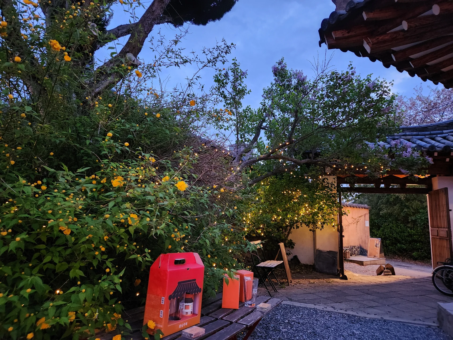 Wrap your phone in the cozy, Instagram-worthy atmosphere of Korean cafe culture. Korea's cafes are more than coffee shops — they're design experiences. These wallpapers feature warm interior light falling on minimalist wooden counters, perfectly crafted latte art in handmade ceramic cups, floor-to-ceiling windows overlooking quiet streets, and rooftop terraces with city panoramas.

From industrial-chic converted warehouses in Seongsu to tiny hidden basement cafes in Ikseon-dong, each image captures the aesthetic sensibility that makes Korean cafe design world-famous. Trailing plants, warm Edison bulbs, curated book walls, and the soft golden glow of afternoon light create scenes you'll want to stare at. Download these free Korean cafe wallpapers for a phone background that feels like a warm hug., Poseok-ro 1050beon-gil, Hwangnam-dong, Gyeongju-si — Free Korean aesthetic wallpaper