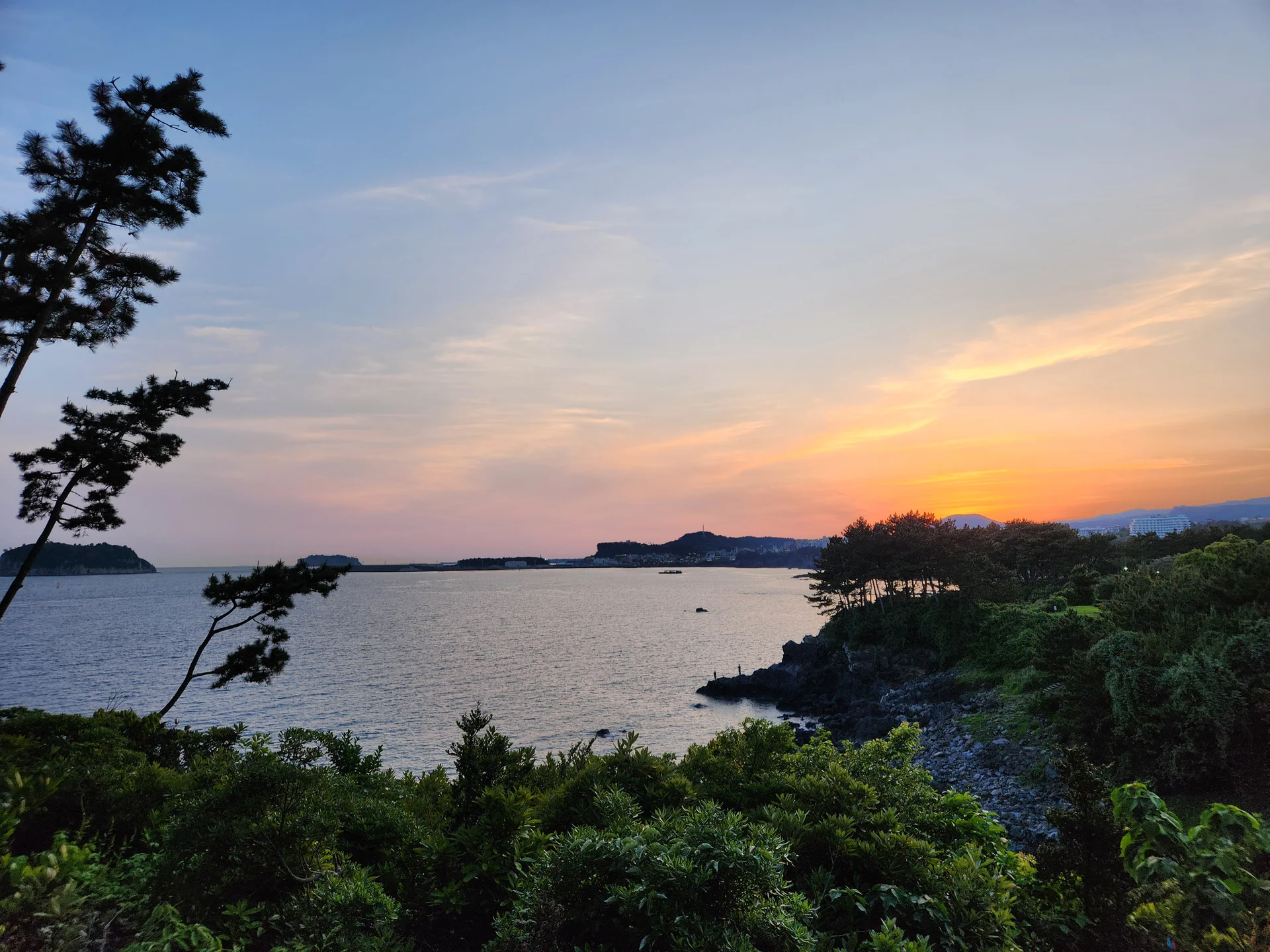 Immerse your screen in the untouched beauty of Korea's natural world. These Korean wallpapers feature sweeping countryside fields blanketed in green, hidden valleys where morning mist clings to the hillsides, and winding streams cutting through rocky terrain. Each photo captures the raw, peaceful energy that makes Korea's landscapes so distinctive.

From the volcanic plains of Jeju Island to the lush wetlands of Suncheon Bay, this collection showcases nature in every mood — dramatic storm clouds rolling over ridgelines, golden sunlight filtering through canopy gaps, and wildflower meadows stretching toward distant peaks. Download these aesthetic phone backgrounds for free and bring a moment of Korean tranquility to your daily life., Bomok-ro 64beon-gil, Bomok-dong, Songsan-dong, Seogwipo-si — Free Korean aesthetic wallpaper