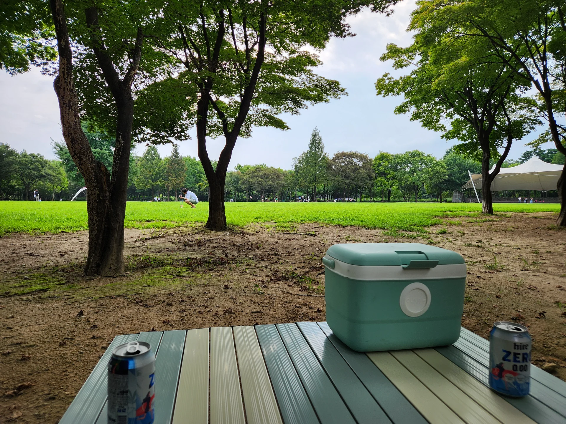 Transform your phone with the inviting green spaces of Korea's parks and gardens. From the sprawling lawns of Olympic Park in Seoul to the meticulously landscaped botanical gardens of the southern coast, these wallpapers capture the beauty of Korea's curated natural spaces — blooming flower beds, reflective lotus ponds, tree-lined promenades, and autumn foliage canopies.

Korean parks are designed for contemplation, and it shows in every image: stone pathways curving around still water, wooden pavilions framed by seasonal color, cherry-blossom tunnels creating pink corridors, and wide meadows where families gather under open skies. Free download these aesthetic park wallpapers and give your phone background the refreshing energy of a Korean garden escape., Seoulsup 2-gil, Seongsu 1(il)-ga 1(il)-dong, Seoul — Free Korean aesthetic wallpaper