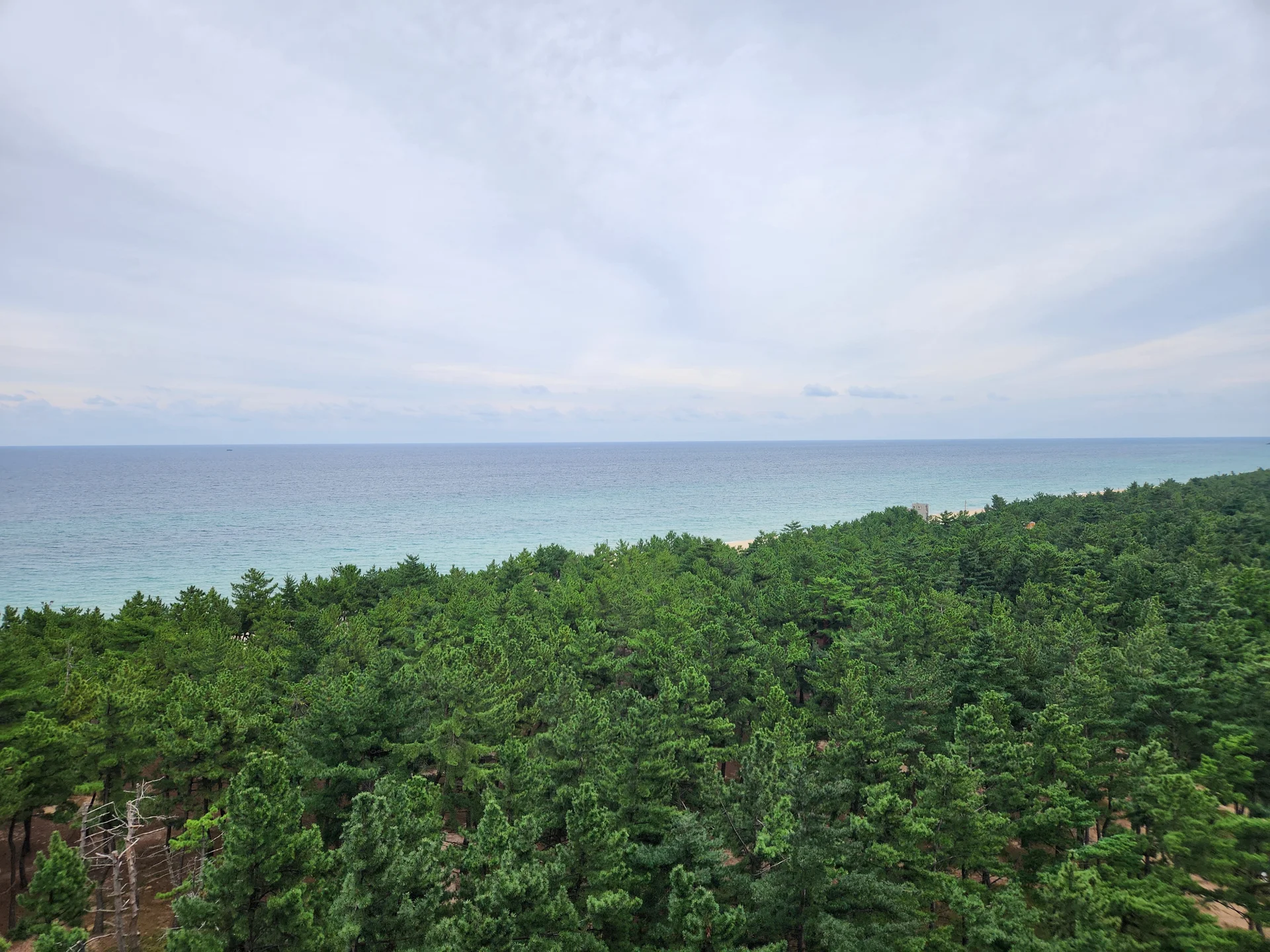 Immerse your screen in the untouched beauty of Korea's natural world. These Korean wallpapers feature sweeping countryside fields blanketed in green, hidden valleys where morning mist clings to the hillsides, and winding streams cutting through rocky terrain. Each photo captures the raw, peaceful energy that makes Korea's landscapes so distinctive.

From the volcanic plains of Jeju Island to the lush wetlands of Suncheon Bay, this collection showcases nature in every mood — dramatic storm clouds rolling over ridgelines, golden sunlight filtering through canopy gaps, and wildflower meadows stretching toward distant peaks. Download these aesthetic phone backgrounds for free and bring a moment of Korean tranquility to your daily life., Changhae-ro, Songjeongdong, Chodang-dong, Gangneung-si — Free Korean aesthetic wallpaper