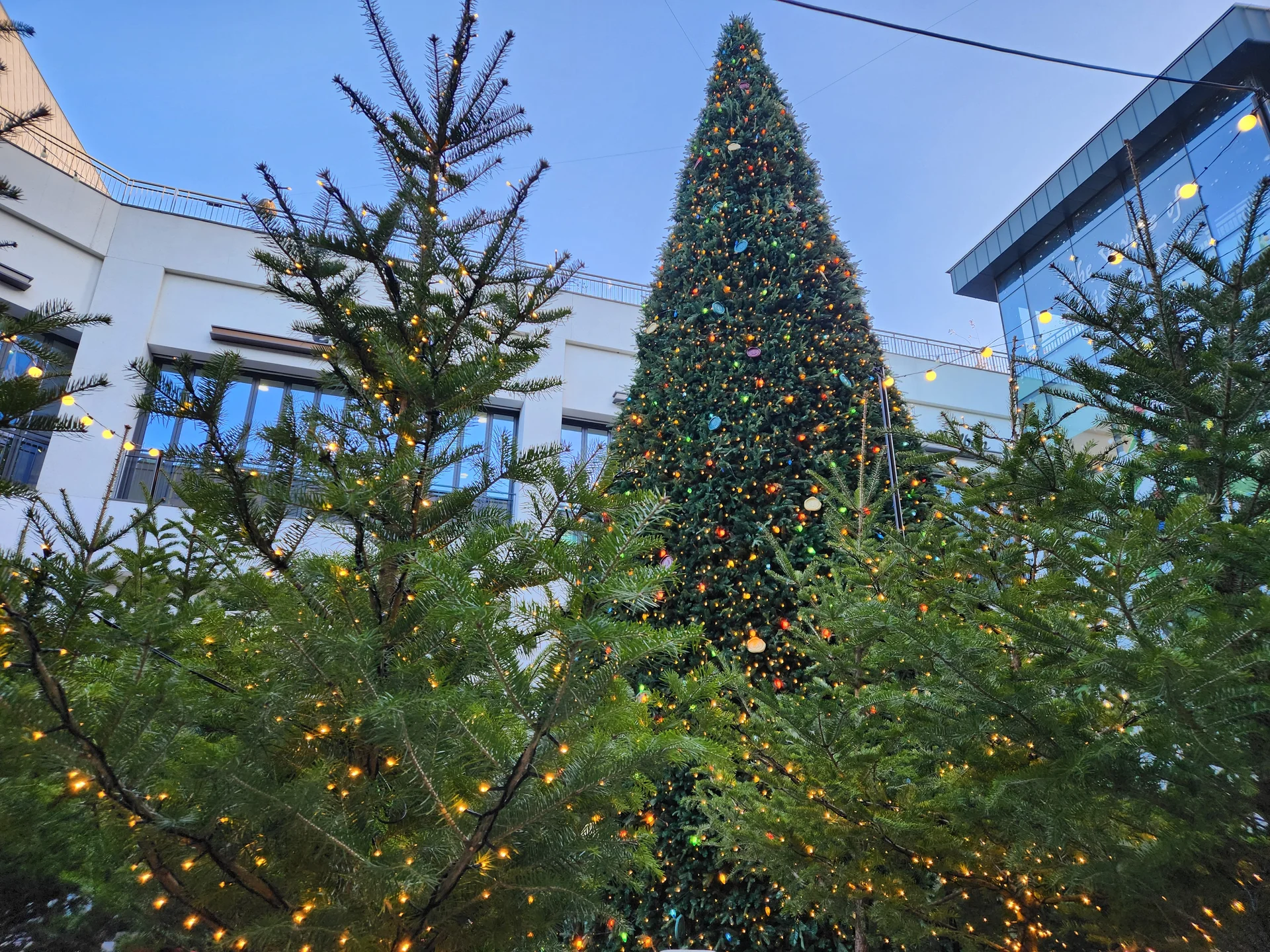 Experience the vibrant pulse of Korean city life through these dynamic street wallpapers. Bustling crosswalks in Myeongdong, colorful shop fronts in Hongdae, rain-slicked sidewalks reflecting neon signs, and everyday moments of commuters, street vendors, and cyclists moving through Seoul's urban rhythm — each image tells a story of a city constantly in motion.

Beyond Seoul, you'll find the charming streetscapes of Busan's hillside neighborhoods, the retro storefronts of Jeonju, and quiet residential lanes where laundry dries on balconies above parked scooters. These free Korean street wallpapers are perfect as an aesthetic phone background for anyone captivated by the raw energy and visual richness of Korean urban culture., Songdo 3(sam)-dong, Incheon — Free Korean aesthetic wallpaper