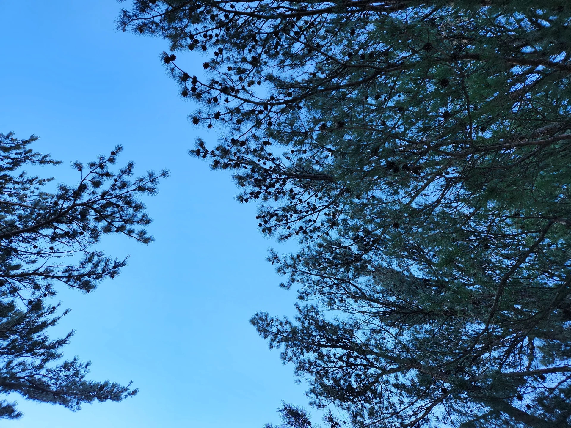 Immerse your screen in the untouched beauty of Korea's natural world. These Korean wallpapers feature sweeping countryside fields blanketed in green, hidden valleys where morning mist clings to the hillsides, and winding streams cutting through rocky terrain. Each photo captures the raw, peaceful energy that makes Korea's landscapes so distinctive.

From the volcanic plains of Jeju Island to the lush wetlands of Suncheon Bay, this collection showcases nature in every mood — dramatic storm clouds rolling over ridgelines, golden sunlight filtering through canopy gaps, and wildflower meadows stretching toward distant peaks. Download these aesthetic phone backgrounds for free and bring a moment of Korean tranquility to your daily life., Toseong-myeon — Free Korean aesthetic wallpaper