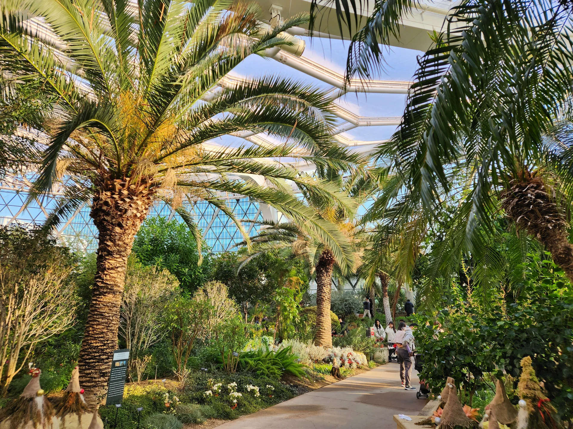 Immerse your screen in the untouched beauty of Korea's natural world. These Korean wallpapers feature sweeping countryside fields blanketed in green, hidden valleys where morning mist clings to the hillsides, and winding streams cutting through rocky terrain. Each photo captures the raw, peaceful energy that makes Korea's landscapes so distinctive.

From the volcanic plains of Jeju Island to the lush wetlands of Suncheon Bay, this collection showcases nature in every mood — dramatic storm clouds rolling over ridgelines, golden sunlight filtering through canopy gaps, and wildflower meadows stretching toward distant peaks. Download these aesthetic phone backgrounds for free and bring a moment of Korean tranquility to your daily life., Magokdong-ro, 마곡지구도시개발지구, Seoul — Free Korean aesthetic wallpaper