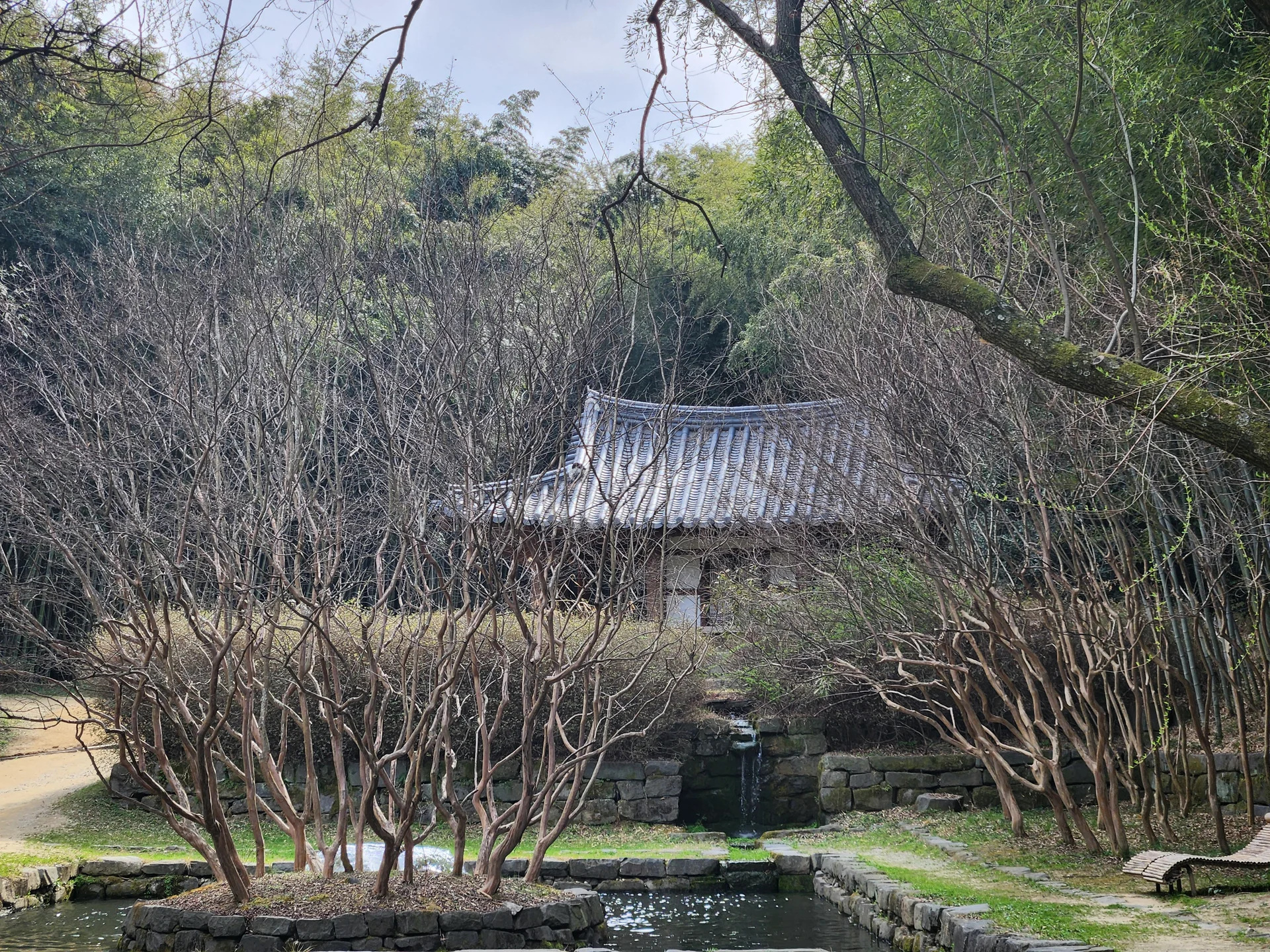 Immerse your screen in the untouched beauty of Korea's natural world. These Korean wallpapers feature sweeping countryside fields blanketed in green, hidden valleys where morning mist clings to the hillsides, and winding streams cutting through rocky terrain. Each photo captures the raw, peaceful energy that makes Korea's landscapes so distinctive.

From the volcanic plains of Jeju Island to the lush wetlands of Suncheon Bay, this collection showcases nature in every mood — dramatic storm clouds rolling over ridgelines, golden sunlight filtering through canopy gaps, and wildflower meadows stretching toward distant peaks. Download these aesthetic phone backgrounds for free and bring a moment of Korean tranquility to your daily life., Jukhyangmunhwa-ro, Damyang-gun — Free Korean aesthetic wallpaper