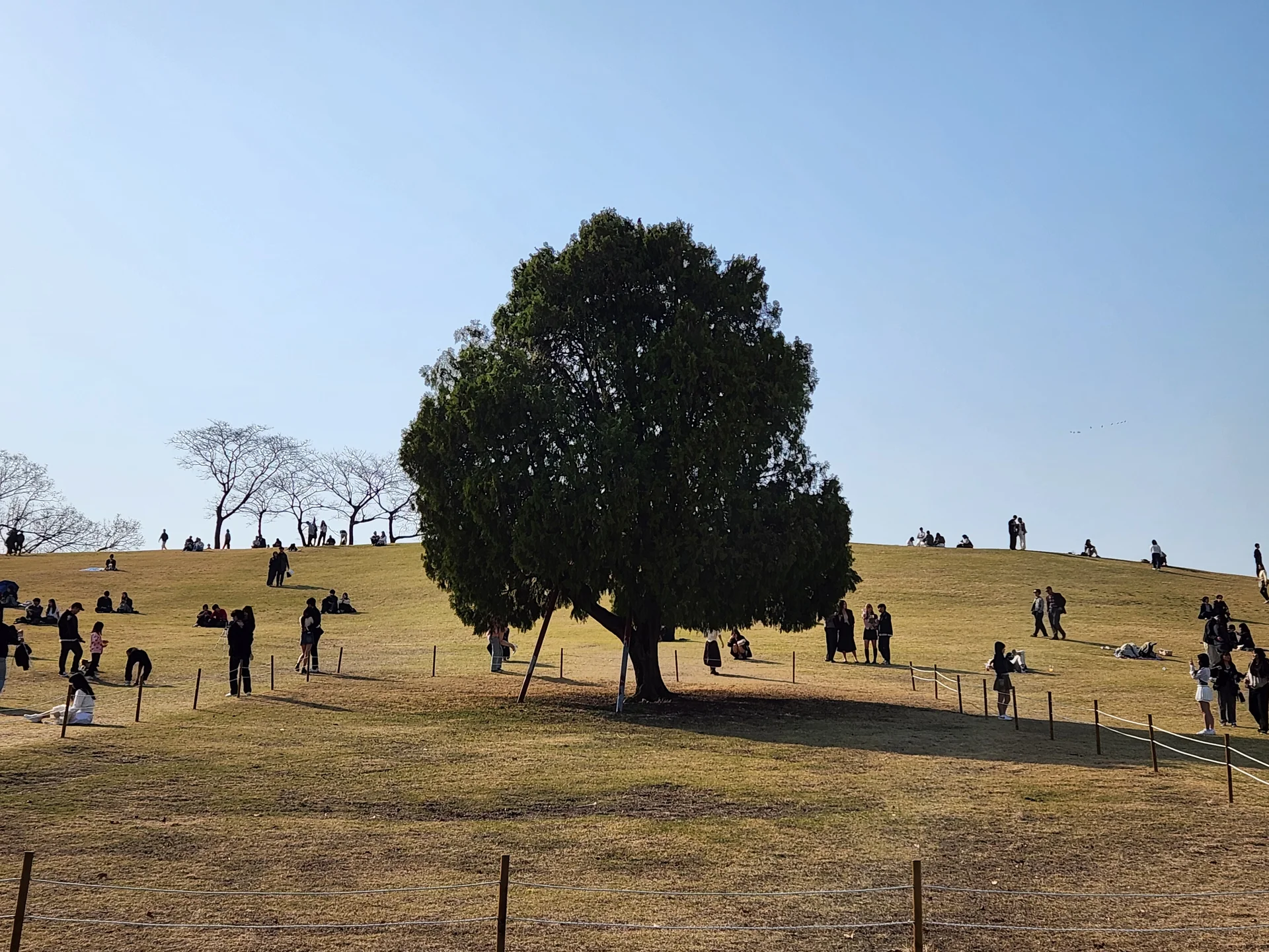 Immerse your screen in the untouched beauty of Korea's natural world. These Korean wallpapers feature sweeping countryside fields blanketed in green, hidden valleys where morning mist clings to the hillsides, and winding streams cutting through rocky terrain. Each photo captures the raw, peaceful energy that makes Korea's landscapes so distinctive.

From the volcanic plains of Jeju Island to the lush wetlands of Suncheon Bay, this collection showcases nature in every mood — dramatic storm clouds rolling over ridgelines, golden sunlight filtering through canopy gaps, and wildflower meadows stretching toward distant peaks. Download these aesthetic phone backgrounds for free and bring a moment of Korean tranquility to your daily life., Oryun-dong, Seoul — Free Korean aesthetic wallpaper
