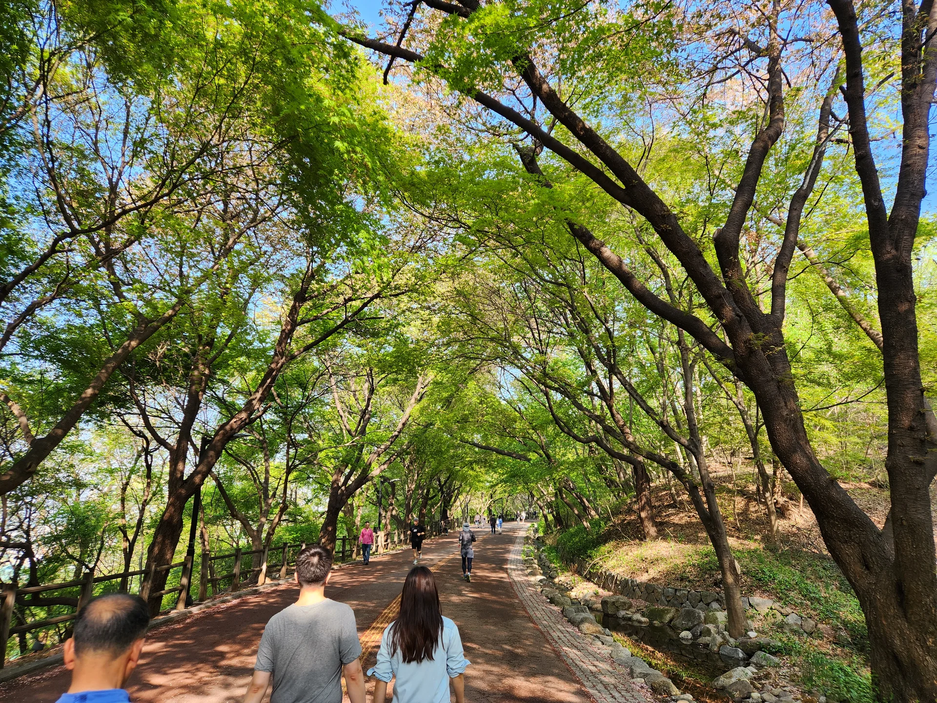 Transform your phone with the inviting green spaces of Korea's parks and gardens. From the sprawling lawns of Olympic Park in Seoul to the meticulously landscaped botanical gardens of the southern coast, these wallpapers capture the beauty of Korea's curated natural spaces — blooming flower beds, reflective lotus ponds, tree-lined promenades, and autumn foliage canopies.

Korean parks are designed for contemplation, and it shows in every image: stone pathways curving around still water, wooden pavilions framed by seasonal color, cherry-blossom tunnels creating pink corridors, and wide meadows where families gather under open skies. Free download these aesthetic park wallpapers and give your phone background the refreshing energy of a Korean garden escape., Namsangongwon-gil, Pil-dong, Seoul — Free Korean aesthetic wallpaper