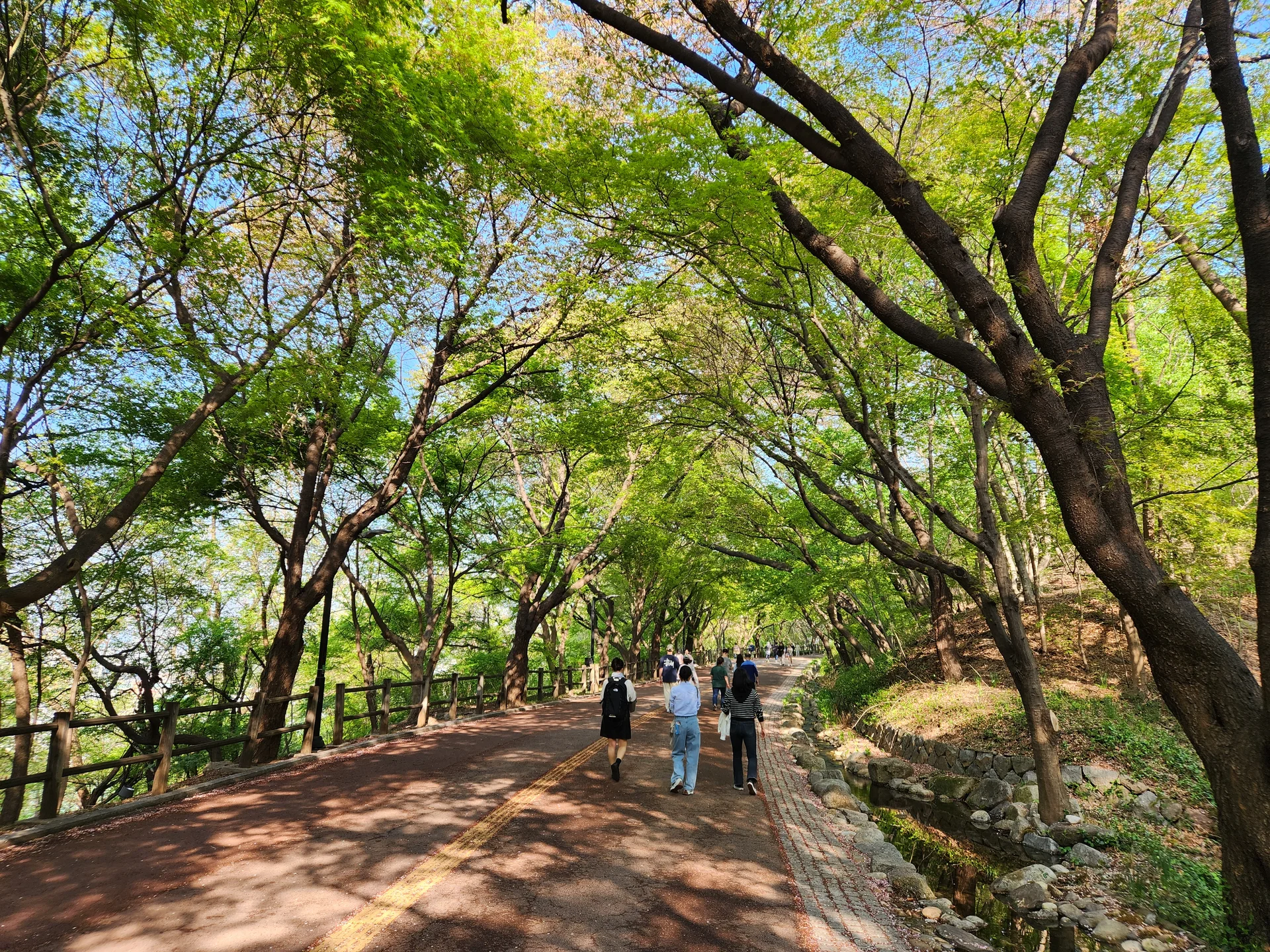 Transform your phone with the inviting green spaces of Korea's parks and gardens. From the sprawling lawns of Olympic Park in Seoul to the meticulously landscaped botanical gardens of the southern coast, these wallpapers capture the beauty of Korea's curated natural spaces — blooming flower beds, reflective lotus ponds, tree-lined promenades, and autumn foliage canopies.

Korean parks are designed for contemplation, and it shows in every image: stone pathways curving around still water, wooden pavilions framed by seasonal color, cherry-blossom tunnels creating pink corridors, and wide meadows where families gather under open skies. Free download these aesthetic park wallpapers and give your phone background the refreshing energy of a Korean garden escape., Namsangongwon-gil, Pil-dong, Seoul — Free Korean aesthetic wallpaper