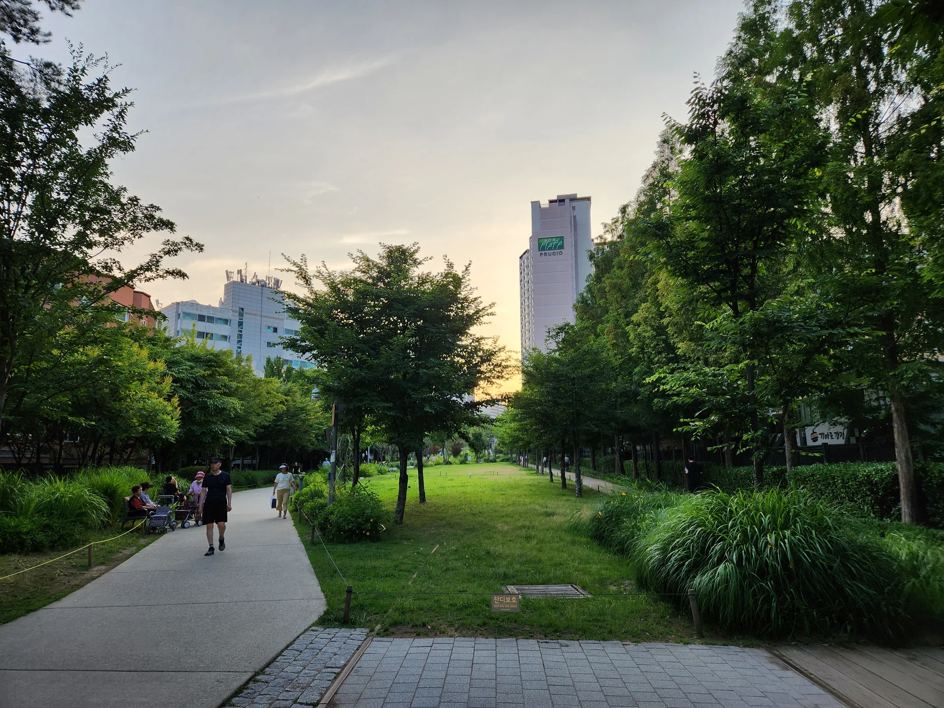 Transform your phone with the inviting green spaces of Korea's parks and gardens. From the sprawling lawns of Olympic Park in Seoul to the meticulously landscaped botanical gardens of the southern coast, these wallpapers capture the beauty of Korea's curated natural spaces — blooming flower beds, reflective lotus ponds, tree-lined promenades, and autumn foliage canopies.

Korean parks are designed for contemplation, and it shows in every image: stone pathways curving around still water, wooden pavilions framed by seasonal color, cherry-blossom tunnels creating pink corridors, and wide meadows where families gather under open skies. Free download these aesthetic park wallpapers and give your phone background the refreshing energy of a Korean garden escape., Baekbeom-ro, Hyochang-dong, Seoul — Free Korean aesthetic wallpaper