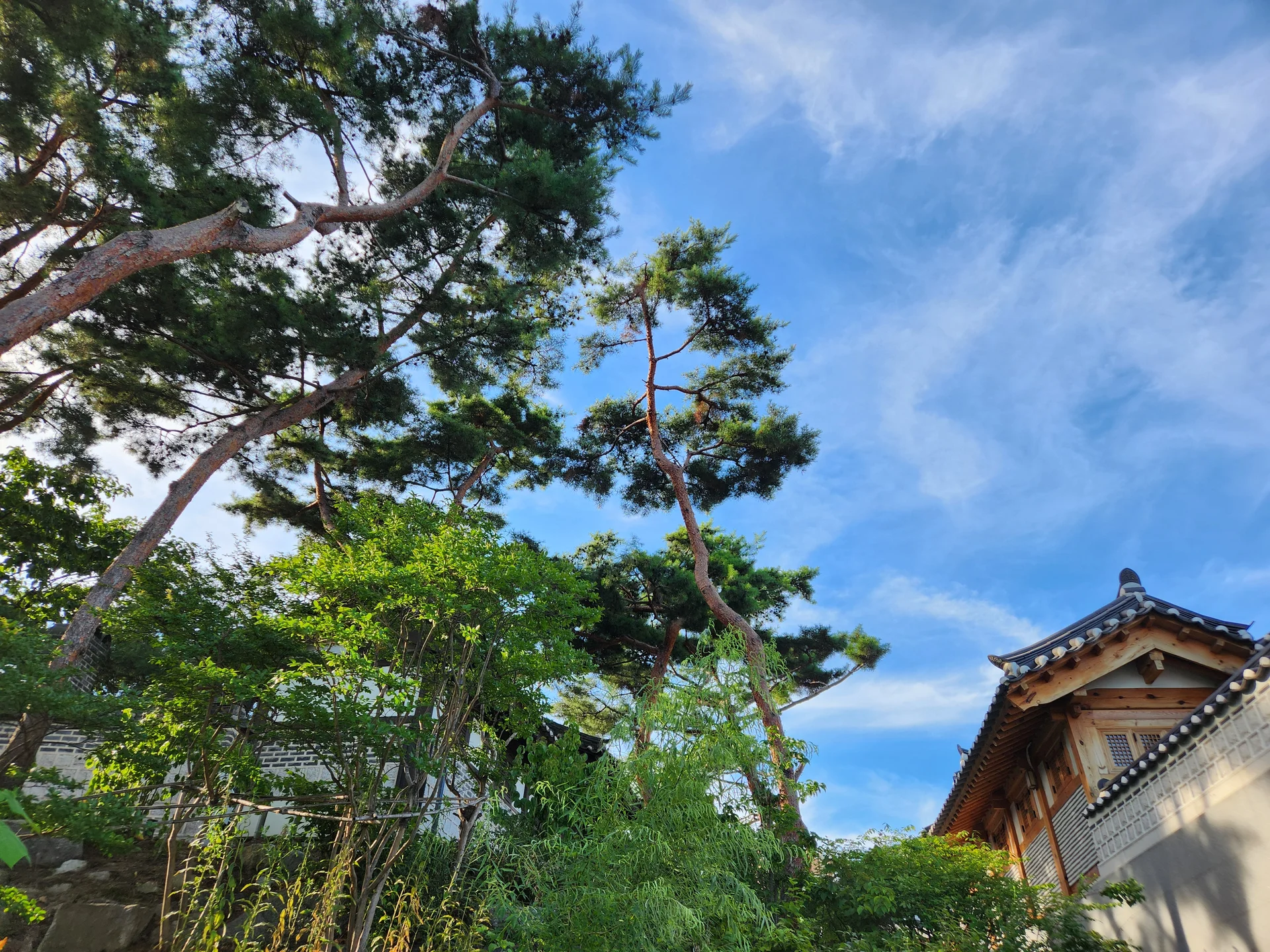 Adorn your phone with the timeless elegance of hanok, Korea's traditional wooden houses. These wallpapers showcase the graceful curved rooflines, hand-carved wooden lattice doors, and serene inner courtyards that have defined Korean residential architecture for centuries. Preserved hanok villages in Bukchon and Jeonju offer a living window into Korea's past.

Each image reveals the quiet beauty of these heritage homes — clay walls weathered to warm earth tones, dark timber frames contrasting with paper-screened windows, stone foundations meeting manicured courtyard gardens, and traditional eaves silhouetted against modern skylines. Download these free hanok wallpapers for an aesthetic phone background that celebrates the harmony between Korean tradition and contemporary life., Jeongneung-ro 9ga-gil, Jeongneung 3(sam)-dong, Seoul — Free Korean aesthetic wallpaper