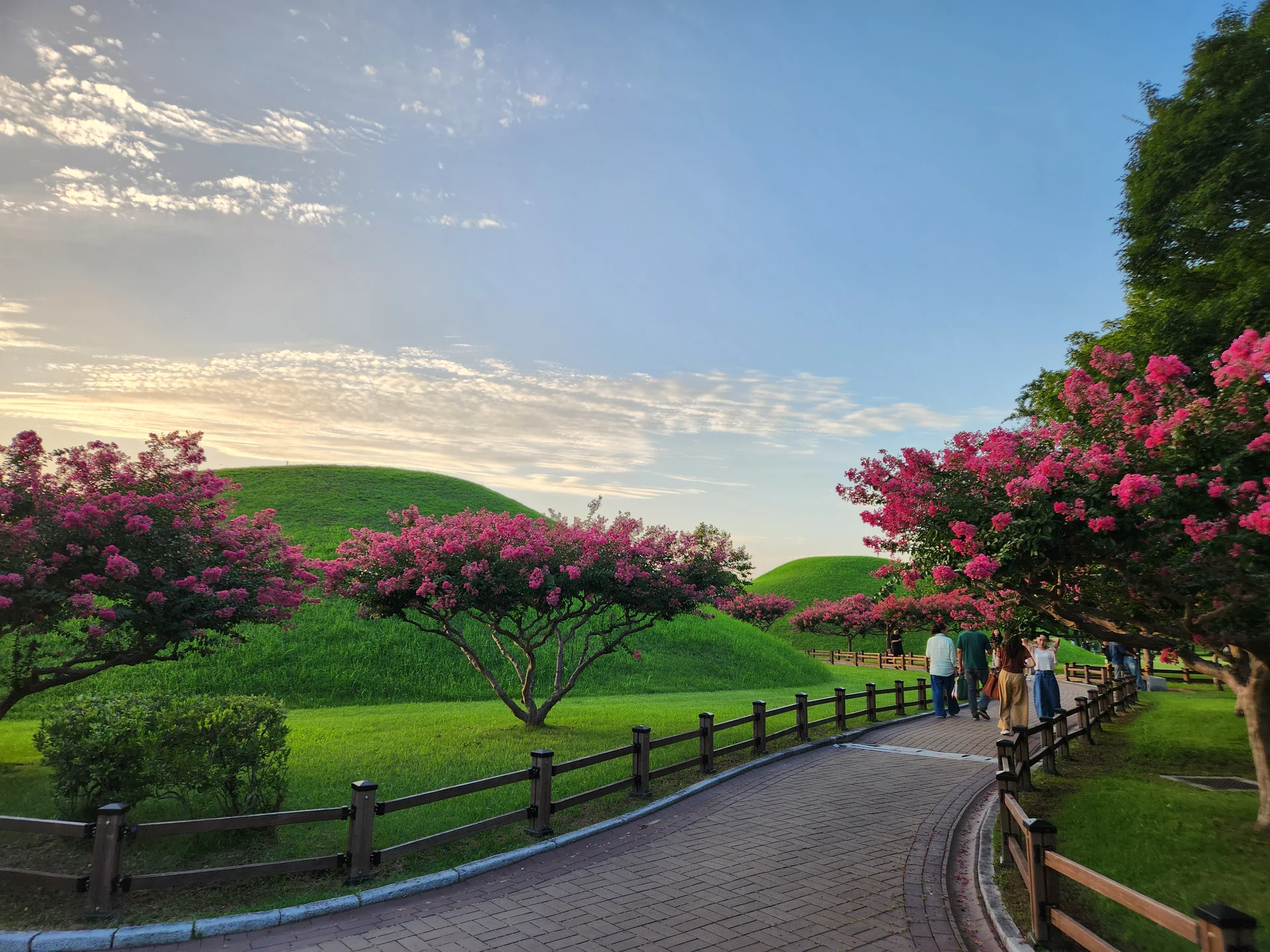 Transform your phone with the inviting green spaces of Korea's parks and gardens. From the sprawling lawns of Olympic Park in Seoul to the meticulously landscaped botanical gardens of the southern coast, these wallpapers capture the beauty of Korea's curated natural spaces — blooming flower beds, reflective lotus ponds, tree-lined promenades, and autumn foliage canopies.

Korean parks are designed for contemplation, and it shows in every image: stone pathways curving around still water, wooden pavilions framed by seasonal color, cherry-blossom tunnels creating pink corridors, and wide meadows where families gather under open skies. Free download these aesthetic park wallpapers and give your phone background the refreshing energy of a Korean garden escape., Gyerim-ro, Hwangnam-dong, Gyeongju-si — Free Korean aesthetic wallpaper