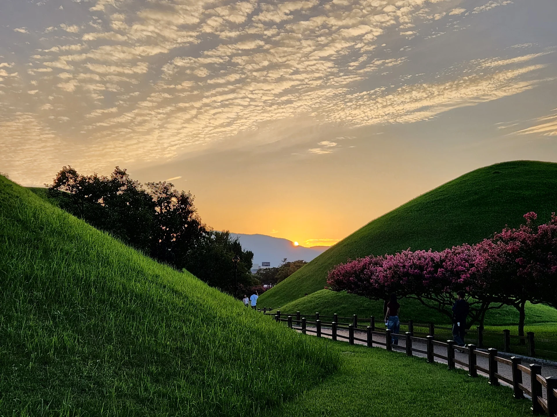 Transform your phone with the inviting green spaces of Korea's parks and gardens. From the sprawling lawns of Olympic Park in Seoul to the meticulously landscaped botanical gardens of the southern coast, these wallpapers capture the beauty of Korea's curated natural spaces — blooming flower beds, reflective lotus ponds, tree-lined promenades, and autumn foliage canopies.

Korean parks are designed for contemplation, and it shows in every image: stone pathways curving around still water, wooden pavilions framed by seasonal color, cherry-blossom tunnels creating pink corridors, and wide meadows where families gather under open skies. Free download these aesthetic park wallpapers and give your phone background the refreshing energy of a Korean garden escape., Gyerim-ro, Hwangnam-dong, Gyeongju-si — Free Korean aesthetic wallpaper