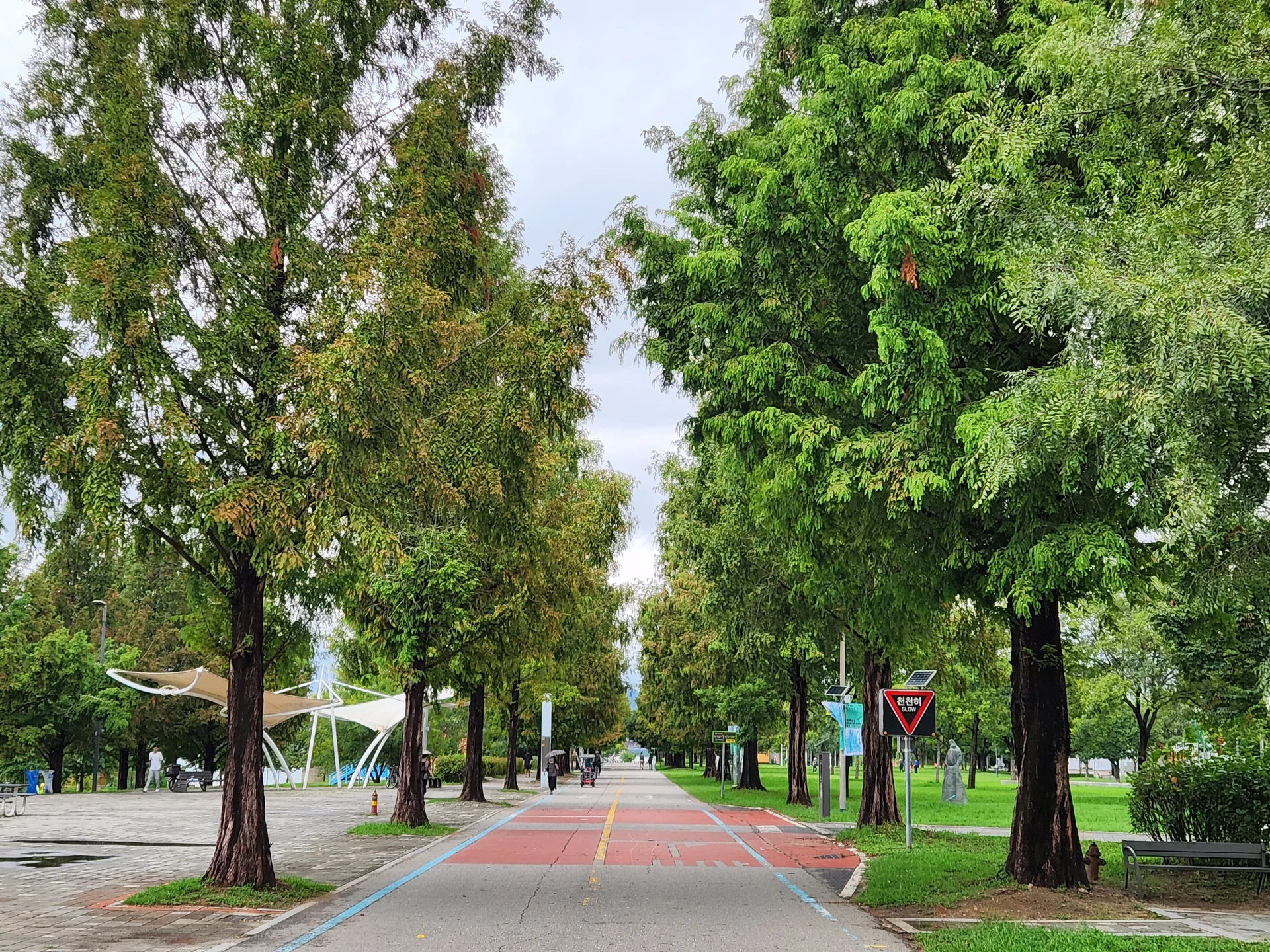 Transform your phone with the inviting green spaces of Korea's parks and gardens. From the sprawling lawns of Olympic Park in Seoul to the meticulously landscaped botanical gardens of the southern coast, these wallpapers capture the beauty of Korea's curated natural spaces — blooming flower beds, reflective lotus ponds, tree-lined promenades, and autumn foliage canopies.

Korean parks are designed for contemplation, and it shows in every image: stone pathways curving around still water, wooden pavilions framed by seasonal color, cherry-blossom tunnels creating pink corridors, and wide meadows where families gather under open skies. Free download these aesthetic park wallpapers and give your phone background the refreshing energy of a Korean garden escape., Gangbyeonbuk-ro, Jayang 4(sa)-dong, Seoul — Free Korean aesthetic wallpaper