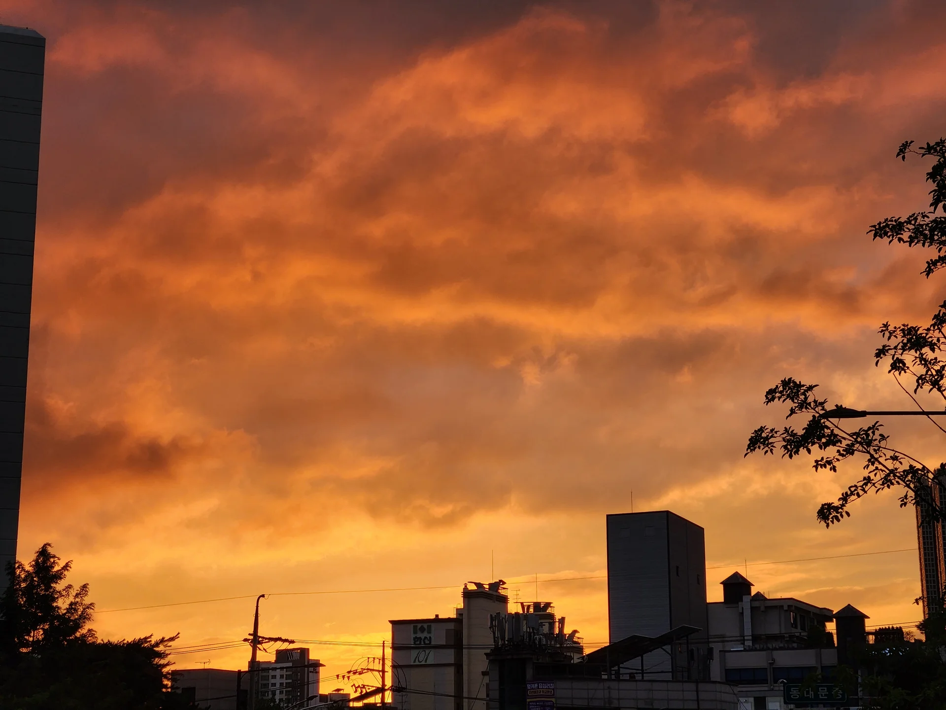 Paint your phone screen with the warm glow of a Korean sunset. These wallpapers capture golden hour at its most magical — amber light washing over temple rooftops, cotton-candy skies reflected in still rice paddies, and the Seoul skyline silhouetted against bands of pink, orange, and violet as the sun dips below the horizon.

Each image showcases a different face of the Korean evening: fishing boats returning to harbor under a fiery sky, lone hikers on ridgelines backlit by the last rays, and coastal cliffs glowing in warm light. These free aesthetic sunset wallpapers make the perfect phone background for anyone who wants a daily reminder of that peaceful, fleeting beauty between day and night., Dapsimni-ro, Dapsimni 1(il)-dong, Seoul — Free Korean aesthetic wallpaper