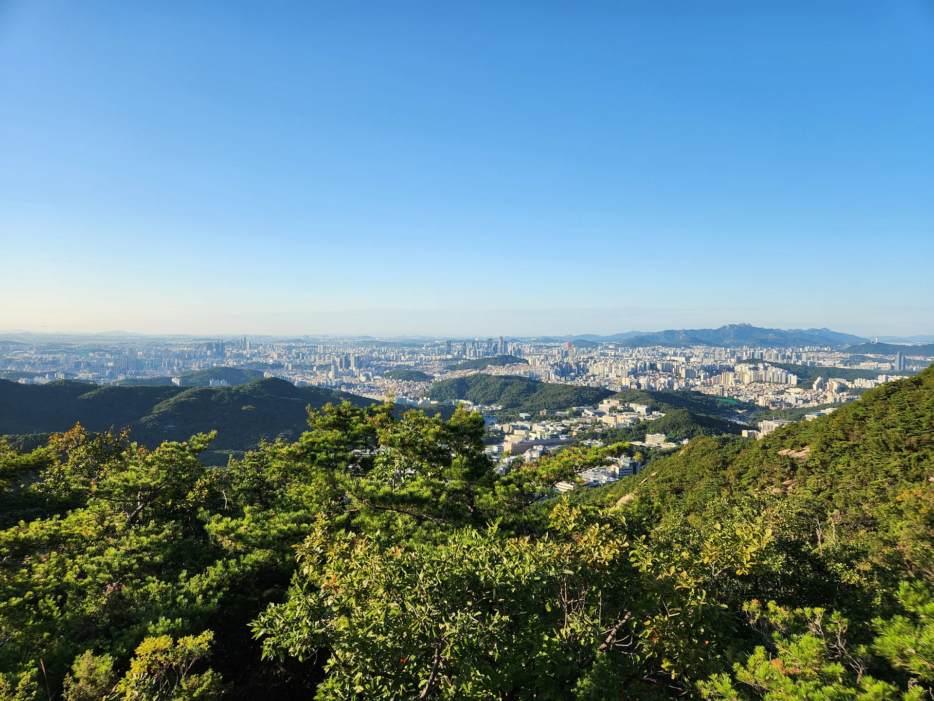 Immerse your screen in the untouched beauty of Korea's natural world. These Korean wallpapers feature sweeping countryside fields blanketed in green, hidden valleys where morning mist clings to the hillsides, and winding streams cutting through rocky terrain. Each photo captures the raw, peaceful energy that makes Korea's landscapes so distinctive.

From the volcanic plains of Jeju Island to the lush wetlands of Suncheon Bay, this collection showcases nature in every mood — dramatic storm clouds rolling over ridgelines, golden sunlight filtering through canopy gaps, and wildflower meadows stretching toward distant peaks. Download these aesthetic phone backgrounds for free and bring a moment of Korean tranquility to your daily life., Daehak-dong, Seoul — Free Korean aesthetic wallpaper