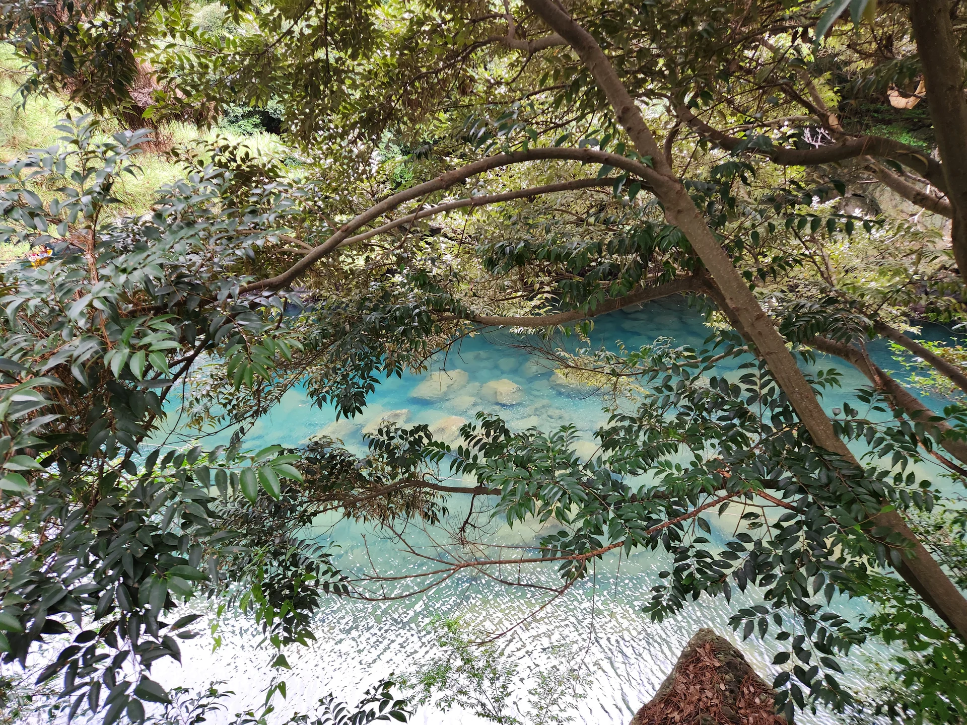 Immerse your screen in the untouched beauty of Korea's natural world. These Korean wallpapers feature sweeping countryside fields blanketed in green, hidden valleys where morning mist clings to the hillsides, and winding streams cutting through rocky terrain. Each photo captures the raw, peaceful energy that makes Korea's landscapes so distinctive.

From the volcanic plains of Jeju Island to the lush wetlands of Suncheon Bay, this collection showcases nature in every mood — dramatic storm clouds rolling over ridgelines, golden sunlight filtering through canopy gaps, and wildflower meadows stretching toward distant peaks. Download these aesthetic phone backgrounds for free and bring a moment of Korean tranquility to your daily life., 쇠소깍로, Hahyo-dong, Hyodon-dong, Seogwipo-si — Free Korean aesthetic wallpaper