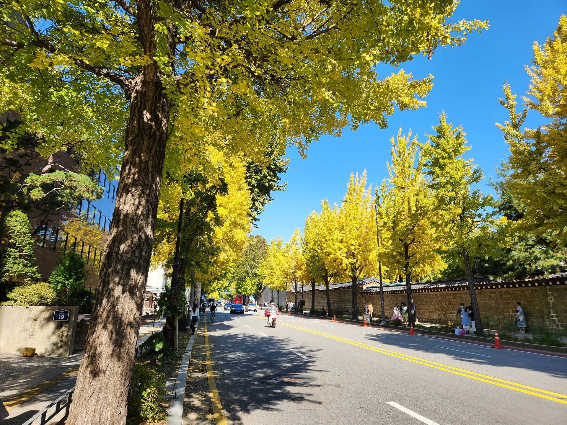 Experience the vibrant pulse of Korean city life through these dynamic street wallpapers. Bustling crosswalks in Myeongdong, colorful shop fronts in Hongdae, rain-slicked sidewalks reflecting neon signs, and everyday moments of commuters, street vendors, and cyclists moving through Seoul's urban rhythm — each image tells a story of a city constantly in motion.

Beyond Seoul, you'll find the charming streetscapes of Busan's hillside neighborhoods, the retro storefronts of Jeonju, and quiet residential lanes where laundry dries on balconies above parked scooters. These free Korean street wallpapers are perfect as an aesthetic phone background for anyone captivated by the raw energy and visual richness of Korean urban culture., Jongno-gu, Seoul — Free Korean aesthetic wallpaper