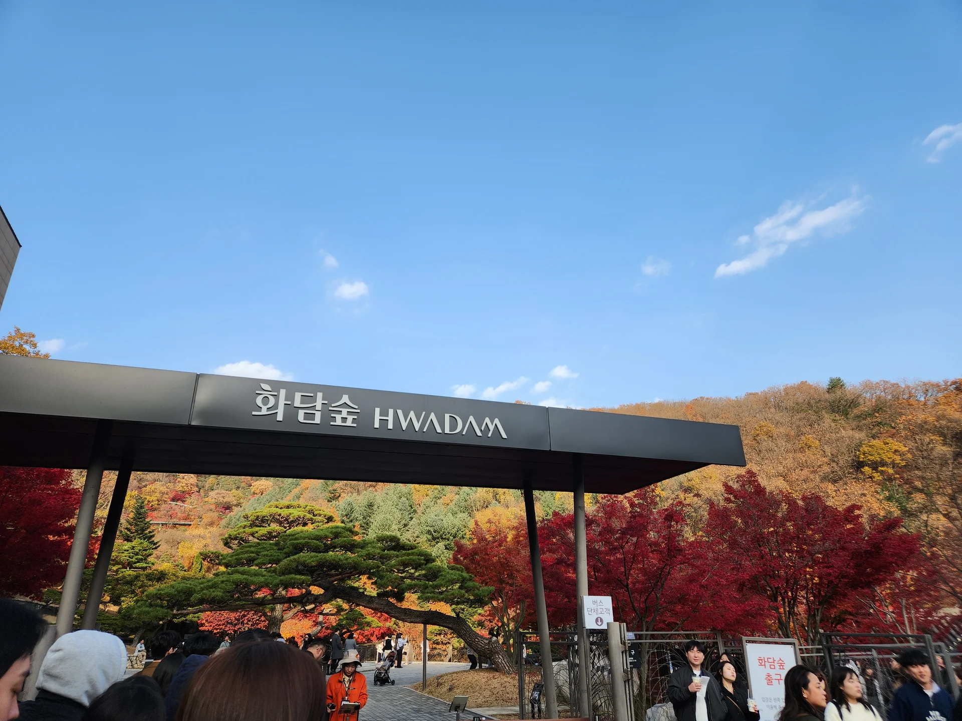 Transform your phone with the inviting green spaces of Korea's parks and gardens. From the sprawling lawns of Olympic Park in Seoul to the meticulously landscaped botanical gardens of the southern coast, these wallpapers capture the beauty of Korea's curated natural spaces — blooming flower beds, reflective lotus ponds, tree-lined promenades, and autumn foliage canopies.

Korean parks are designed for contemplation, and it shows in every image: stone pathways curving around still water, wooden pavilions framed by seasonal color, cherry-blossom tunnels creating pink corridors, and wide meadows where families gather under open skies. Free download these aesthetic park wallpapers and give your phone background the refreshing energy of a Korean garden escape., Gwangju-si, Gyeonggi-do — Free Korean aesthetic wallpaper