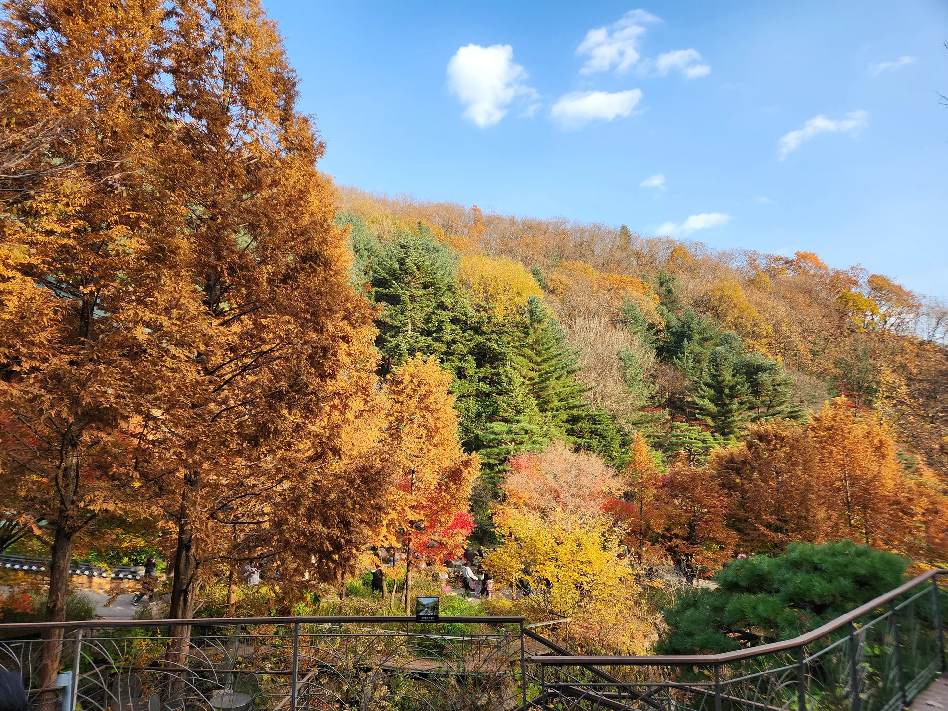 Immerse your screen in the untouched beauty of Korea's natural world. These Korean wallpapers feature sweeping countryside fields blanketed in green, hidden valleys where morning mist clings to the hillsides, and winding streams cutting through rocky terrain. Each photo captures the raw, peaceful energy that makes Korea's landscapes so distinctive.

From the volcanic plains of Jeju Island to the lush wetlands of Suncheon Bay, this collection showcases nature in every mood — dramatic storm clouds rolling over ridgelines, golden sunlight filtering through canopy gaps, and wildflower meadows stretching toward distant peaks. Download these aesthetic phone backgrounds for free and bring a moment of Korean tranquility to your daily life., Gwangju-si, Gyeonggi-do — Free Korean aesthetic wallpaper