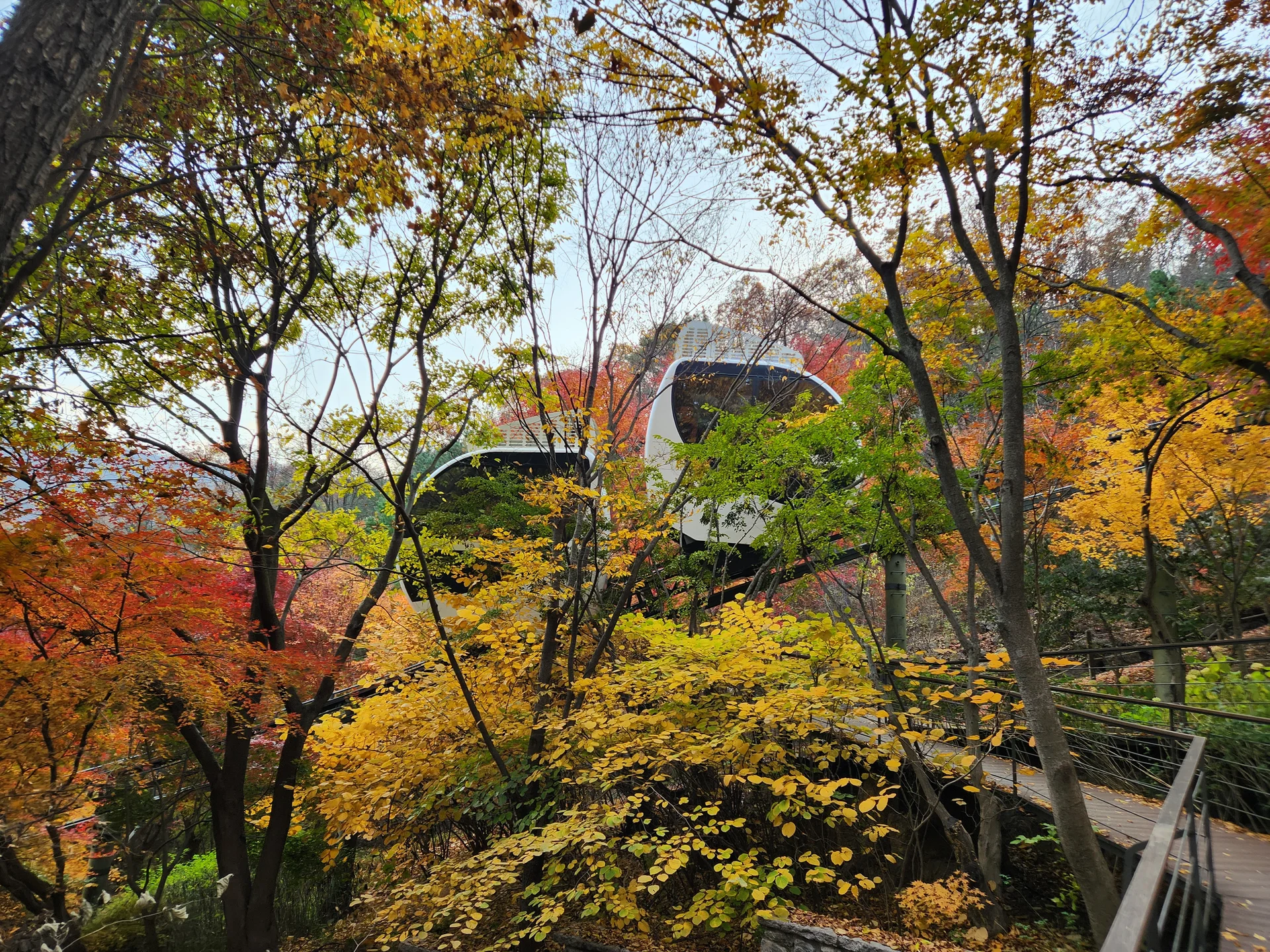 Immerse your screen in the untouched beauty of Korea's natural world. These Korean wallpapers feature sweeping countryside fields blanketed in green, hidden valleys where morning mist clings to the hillsides, and winding streams cutting through rocky terrain. Each photo captures the raw, peaceful energy that makes Korea's landscapes so distinctive.

From the volcanic plains of Jeju Island to the lush wetlands of Suncheon Bay, this collection showcases nature in every mood — dramatic storm clouds rolling over ridgelines, golden sunlight filtering through canopy gaps, and wildflower meadows stretching toward distant peaks. Download these aesthetic phone backgrounds for free and bring a moment of Korean tranquility to your daily life., Gwangju-si, Gyeonggi-do — Free Korean aesthetic wallpaper