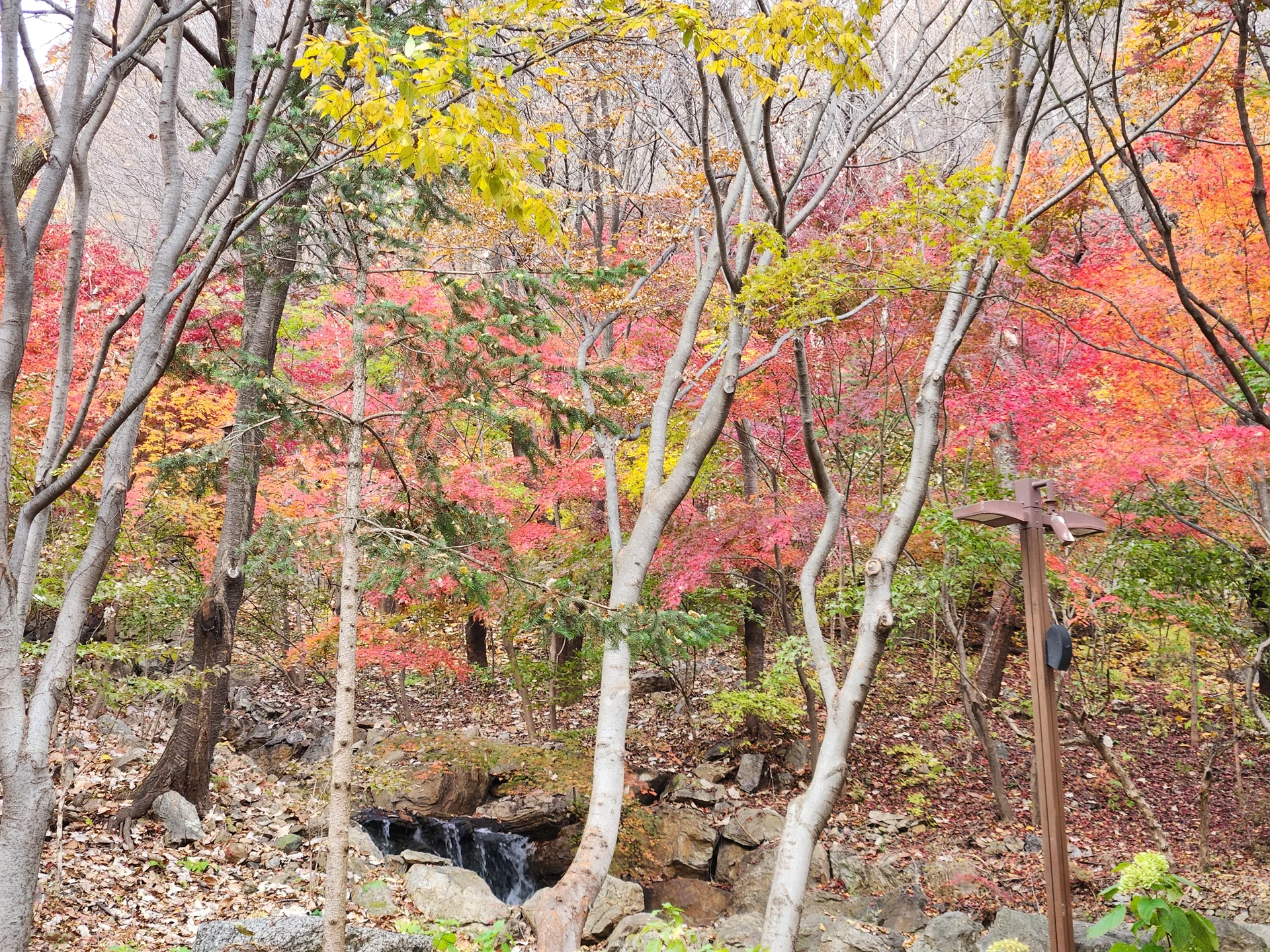 Immerse your screen in the untouched beauty of Korea's natural world. These Korean wallpapers feature sweeping countryside fields blanketed in green, hidden valleys where morning mist clings to the hillsides, and winding streams cutting through rocky terrain. Each photo captures the raw, peaceful energy that makes Korea's landscapes so distinctive.

From the volcanic plains of Jeju Island to the lush wetlands of Suncheon Bay, this collection showcases nature in every mood — dramatic storm clouds rolling over ridgelines, golden sunlight filtering through canopy gaps, and wildflower meadows stretching toward distant peaks. Download these aesthetic phone backgrounds for free and bring a moment of Korean tranquility to your daily life., Gwangju-si, Gyeonggi-do — Free Korean aesthetic wallpaper