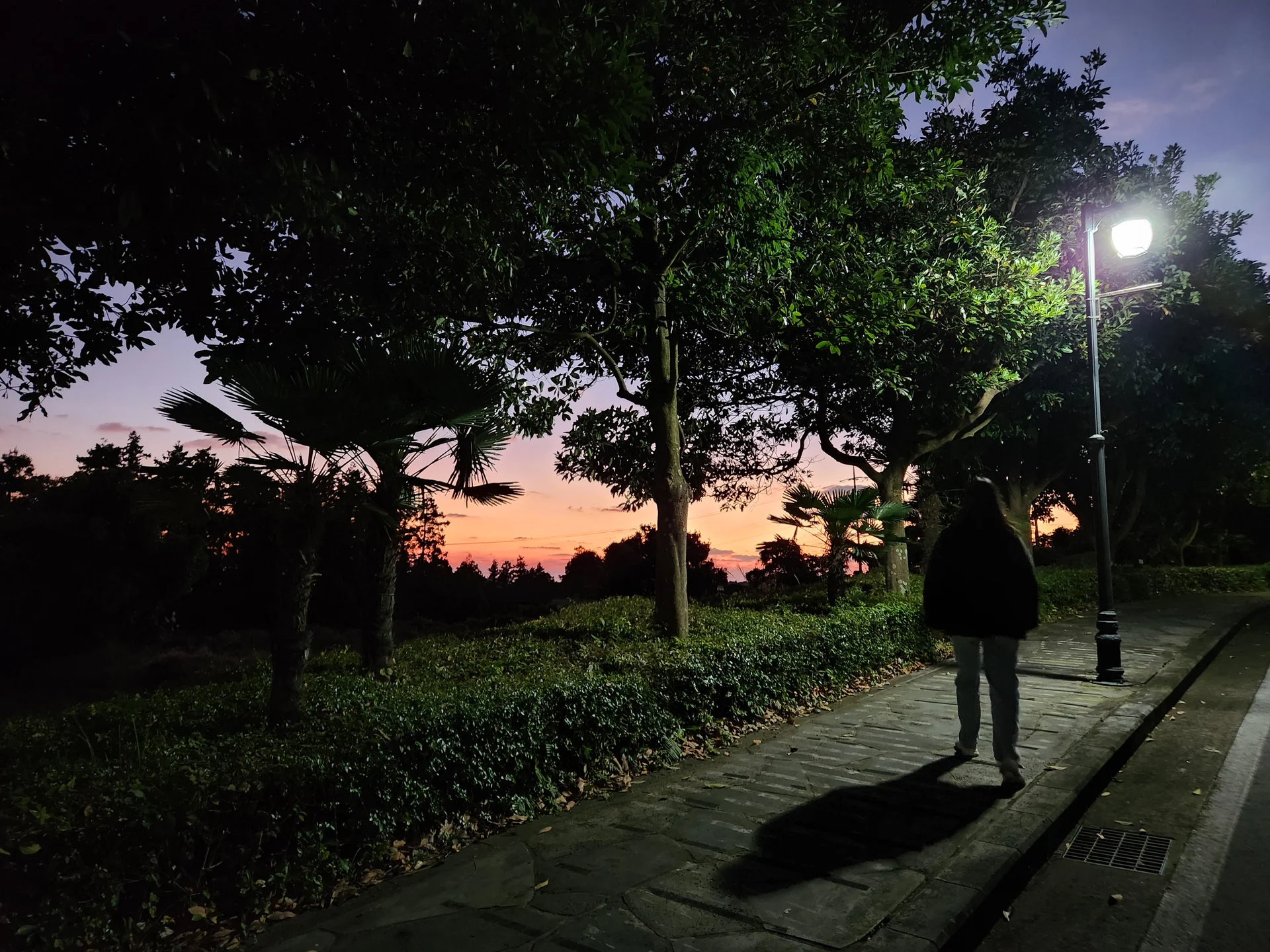 Paint your phone screen with the warm glow of a Korean sunset. These wallpapers capture golden hour at its most magical — amber light washing over temple rooftops, cotton-candy skies reflected in still rice paddies, and the Seoul skyline silhouetted against bands of pink, orange, and violet as the sun dips below the horizon.

Each image showcases a different face of the Korean evening: fishing boats returning to harbor under a fiery sky, lone hikers on ridgelines backlit by the last rays, and coastal cliffs glowing in warm light. These free aesthetic sunset wallpapers make the perfect phone background for anyone who wants a daily reminder of that peaceful, fleeting beauty between day and night., Jeju-si, Jeju-do — Free Korean aesthetic wallpaper