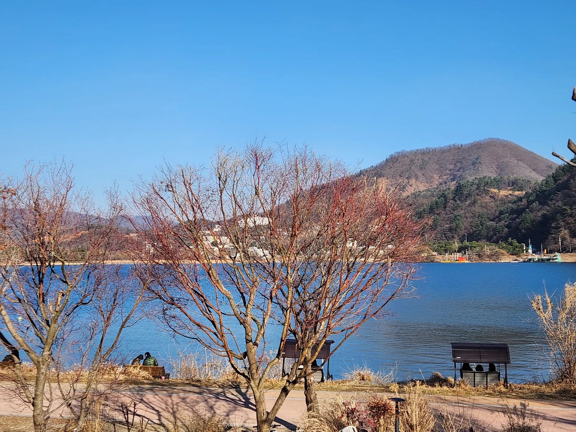 Step into the quiet depth of Korea's forests with these immersive phone wallpapers. Dense bamboo groves filter sunlight into emerald shafts, ancient pine forests carpet mountain slopes in deep green, and misty woodland trails invite you to wander deeper. Korea's forests are places of profound stillness, and these images convey that sense of solitude beautifully.

You'll find towering cedar canopies in Jeju's Bijarim Forest, mossy stone paths winding through temple grounds, dappled light dancing on fern-covered forest floors, and fog rolling through valleys at first light. Download these free Korean forest wallpapers for an aesthetic phone background that brings the restorative calm of nature to every glance at your screen. — Free Korean aesthetic wallpaper