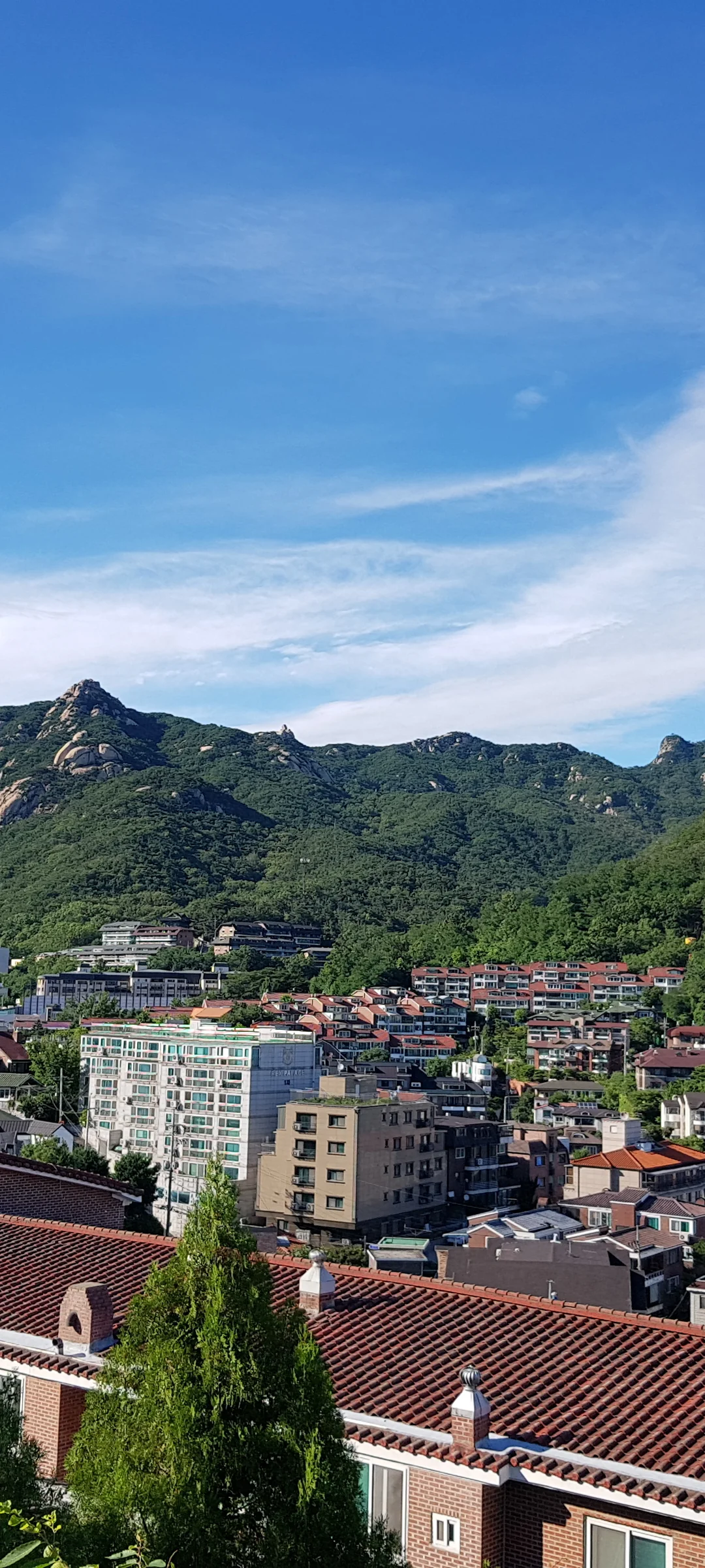 Explore Korea's architectural landscape through stunning phone wallpapers that span centuries of design. From the sleek glass curtain walls of Gangnam's skyscrapers to the raw concrete forms of brutalist apartment complexes, these images capture how Korea blends cutting-edge modernity with bold structural expression.

Look closer and you'll discover geometric patterns in subway station ceilings, sweeping curves of the Dongdaemun Design Plaza, and the quiet symmetry of traditional gate structures standing beside high-rises. Whether you're drawn to minimalist Korean design or dramatic urban geometry, these free aesthetic wallpapers transform your phone background into a gallery of architectural photography. — Free Korean aesthetic wallpaper