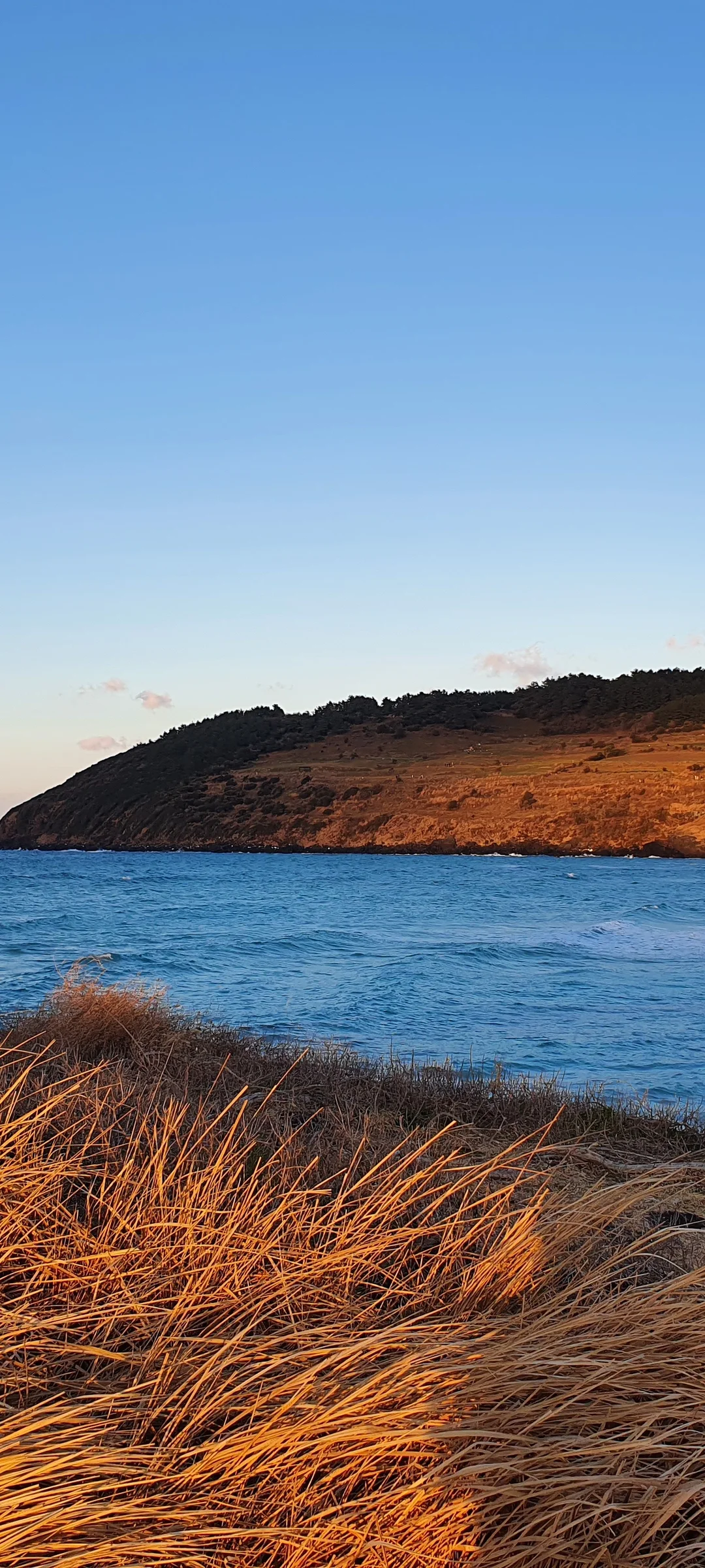 Bring the Korean coastline to your phone with these breathtaking ocean wallpapers. Korea is surrounded by water on three sides, and this collection captures it all — the turquoise shallows of Jeju's beaches, dramatic basalt cliffs plunging into the East Sea, tranquil fishing harbors at dawn, and endless Pacific horizons glowing under golden light.

These photos feature crashing waves against volcanic rock formations, serene island silhouettes at sunset, lighthouse beacons cutting through coastal fog, and the mirror-still surface of sheltered bays reflecting cotton-candy skies. Download these free Korean sea wallpapers for an aesthetic phone background that carries the calm and power of the ocean wherever you go., Jeju Island — Free Korean aesthetic wallpaper