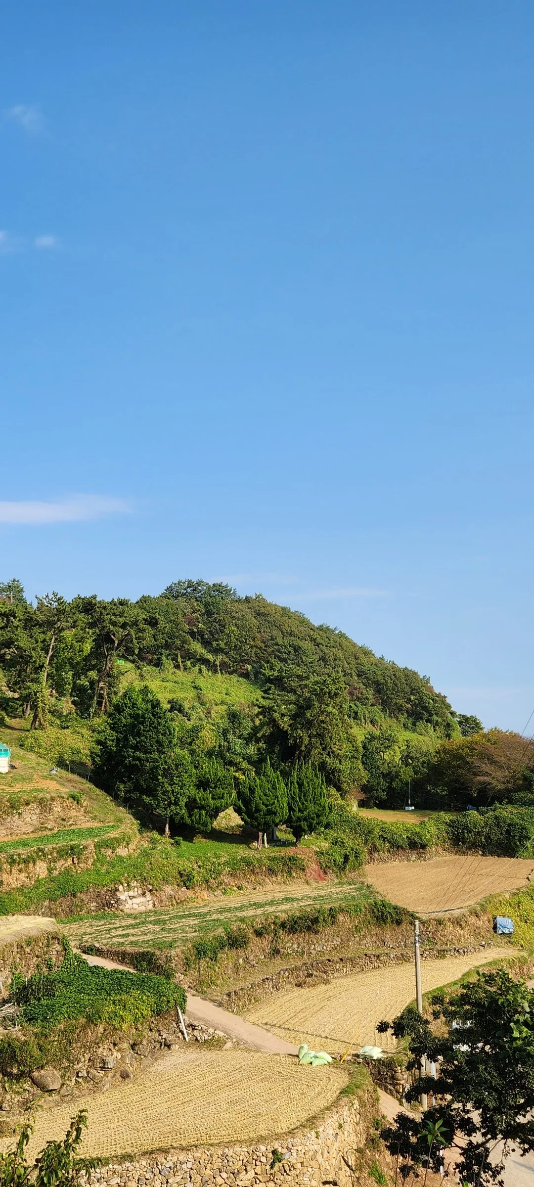 Immerse your screen in the untouched beauty of Korea's natural world. These Korean wallpapers feature sweeping countryside fields blanketed in green, hidden valleys where morning mist clings to the hillsides, and winding streams cutting through rocky terrain. Each photo captures the raw, peaceful energy that makes Korea's landscapes so distinctive.

From the volcanic plains of Jeju Island to the lush wetlands of Suncheon Bay, this collection showcases nature in every mood — dramatic storm clouds rolling over ridgelines, golden sunlight filtering through canopy gaps, and wildflower meadows stretching toward distant peaks. Download these aesthetic phone backgrounds for free and bring a moment of Korean tranquility to your daily life., Honghyeon-ri, Nam — Free Korean aesthetic wallpaper