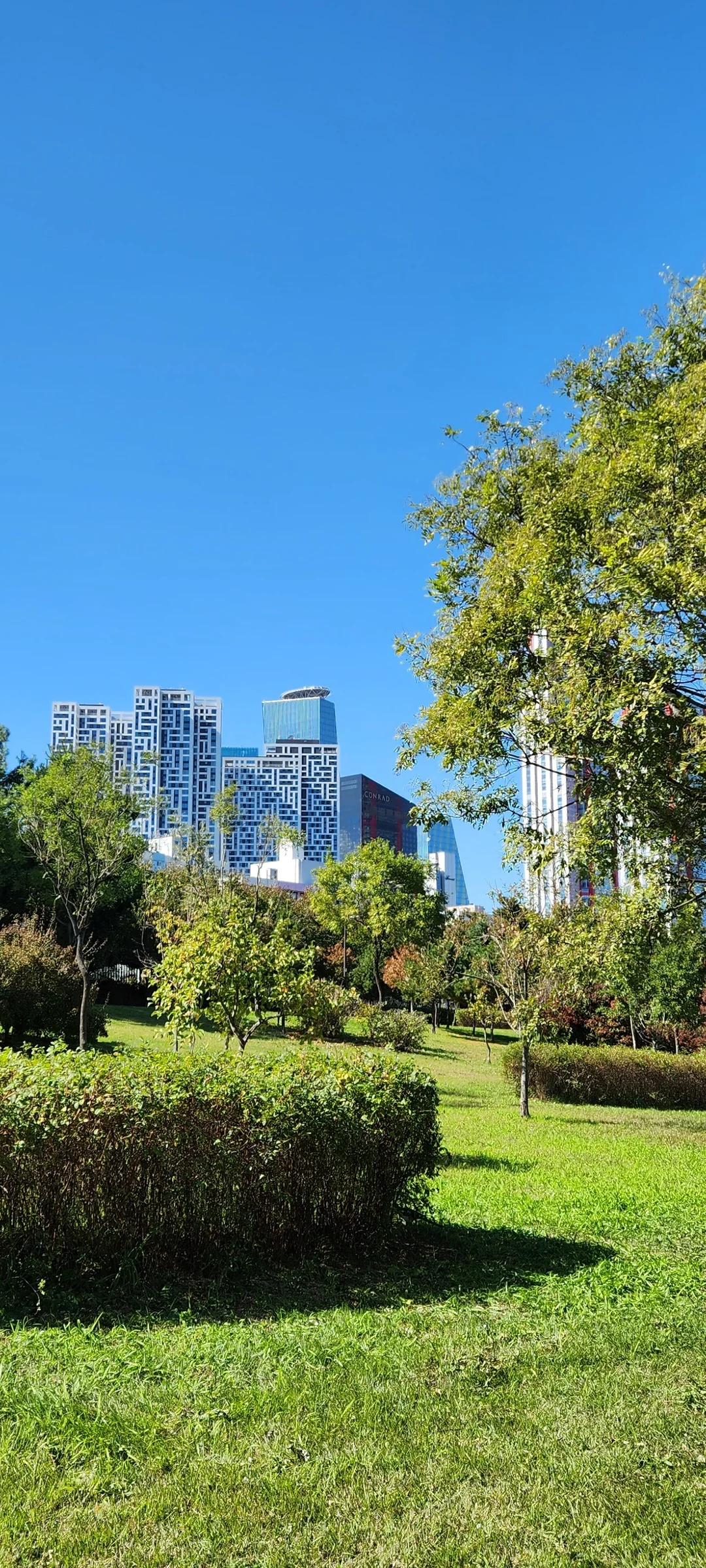 Transform your phone with the inviting green spaces of Korea's parks and gardens. From the sprawling lawns of Olympic Park in Seoul to the meticulously landscaped botanical gardens of the southern coast, these wallpapers capture the beauty of Korea's curated natural spaces — blooming flower beds, reflective lotus ponds, tree-lined promenades, and autumn foliage canopies.

Korean parks are designed for contemplation, and it shows in every image: stone pathways curving around still water, wooden pavilions framed by seasonal color, cherry-blossom tunnels creating pink corridors, and wide meadows where families gather under open skies. Free download these aesthetic park wallpapers and give your phone background the refreshing energy of a Korean garden escape., Yeouidong-ro, Yeoui-dong, Seoul — Free Korean aesthetic wallpaper