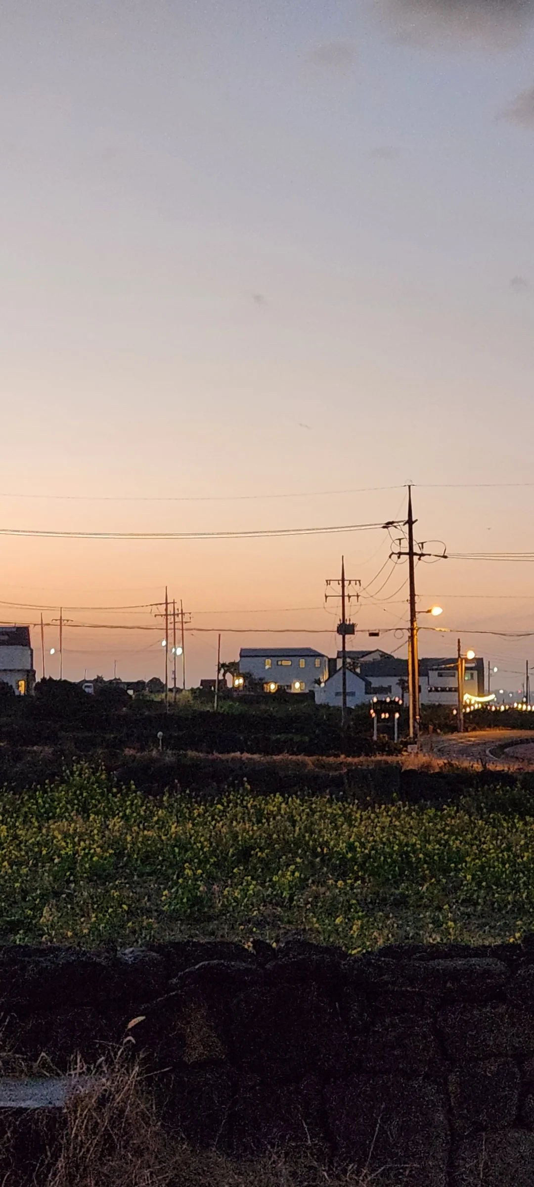 Immerse your screen in the untouched beauty of Korea's natural world. These Korean wallpapers feature sweeping countryside fields blanketed in green, hidden valleys where morning mist clings to the hillsides, and winding streams cutting through rocky terrain. Each photo captures the raw, peaceful energy that makes Korea's landscapes so distinctive.

From the volcanic plains of Jeju Island to the lush wetlands of Suncheon Bay, this collection showcases nature in every mood — dramatic storm clouds rolling over ridgelines, golden sunlight filtering through canopy gaps, and wildflower meadows stretching toward distant peaks. Download these aesthetic phone backgrounds for free and bring a moment of Korean tranquility to your daily life., Hado-ri, Jeju — Free Korean aesthetic wallpaper