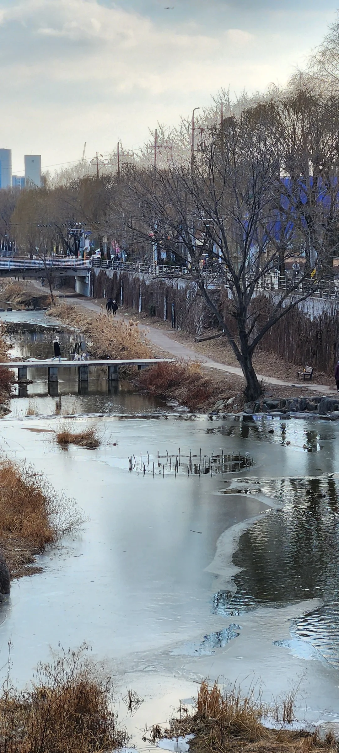 Bring the peaceful flow of Korea's waterways to your phone screen. These river wallpapers feature the iconic Han River cutting through Seoul's skyline, its surface mirroring city lights at dusk, as well as serene lakeside scenes from the countryside where mountains descend to meet still water and morning fog drifts across the surface.

From riverside cycling paths lined with cherry blossoms to dramatic reflections of autumn foliage in mountain streams, each image captures the calming presence of water in Korean landscapes. Waterfront pavilions, stone bridges arching over gentle currents, and lone boats floating in golden light are all waiting here. Download these free Korean river wallpapers for an aesthetic phone background full of tranquility., Suwoncheon-ro, Buksu-dong, 팔달구, Suwon-si — Free Korean aesthetic wallpaper