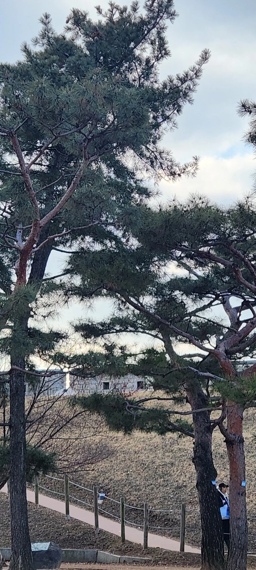 Immerse your screen in the untouched beauty of Korea's natural world. These Korean wallpapers feature sweeping countryside fields blanketed in green, hidden valleys where morning mist clings to the hillsides, and winding streams cutting through rocky terrain. Each photo captures the raw, peaceful energy that makes Korea's landscapes so distinctive.

From the volcanic plains of Jeju Island to the lush wetlands of Suncheon Bay, this collection showcases nature in every mood — dramatic storm clouds rolling over ridgelines, golden sunlight filtering through canopy gaps, and wildflower meadows stretching toward distant peaks. Download these aesthetic phone backgrounds for free and bring a moment of Korean tranquility to your daily life., Jeongjo-ro 905beon-gil, 팔달구, Suwon-si — Free Korean aesthetic wallpaper