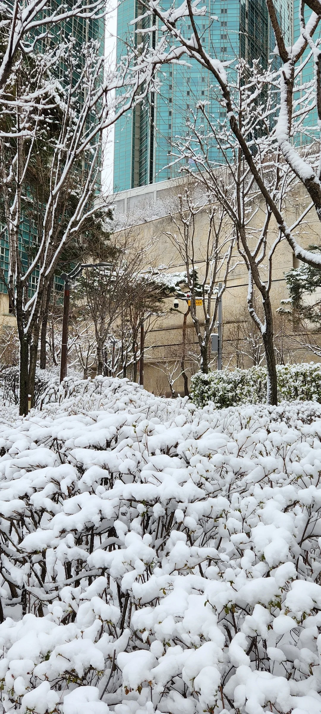 Immerse your screen in the untouched beauty of Korea's natural world. These Korean wallpapers feature sweeping countryside fields blanketed in green, hidden valleys where morning mist clings to the hillsides, and winding streams cutting through rocky terrain. Each photo captures the raw, peaceful energy that makes Korea's landscapes so distinctive.

From the volcanic plains of Jeju Island to the lush wetlands of Suncheon Bay, this collection showcases nature in every mood — dramatic storm clouds rolling over ridgelines, golden sunlight filtering through canopy gaps, and wildflower meadows stretching toward distant peaks. Download these aesthetic phone backgrounds for free and bring a moment of Korean tranquility to your daily life., World Cup-ro, Hapjeong-dong, Seoul — Free Korean aesthetic wallpaper