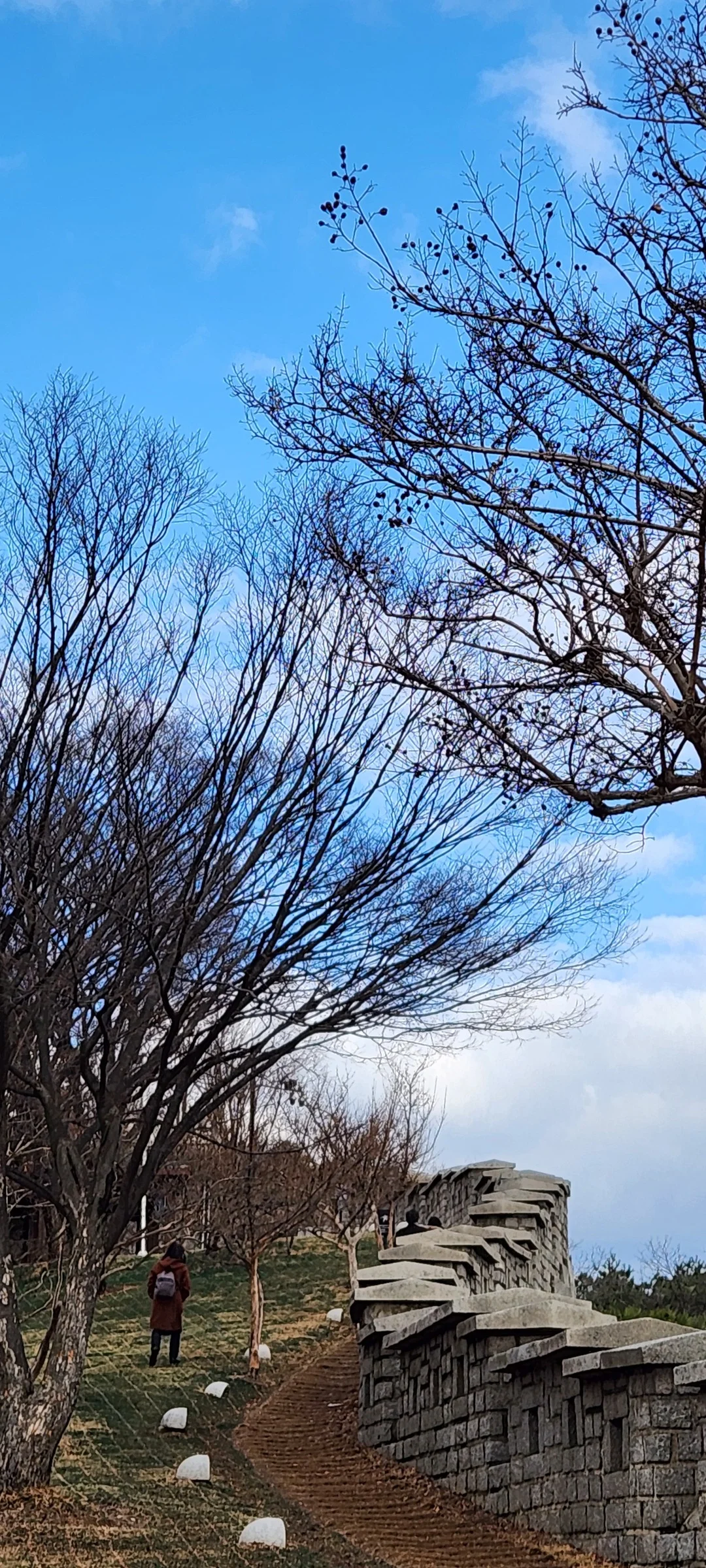 Explore Korea's architectural landscape through stunning phone wallpapers that span centuries of design. From the sleek glass curtain walls of Gangnam's skyscrapers to the raw concrete forms of brutalist apartment complexes, these images capture how Korea blends cutting-edge modernity with bold structural expression.

Look closer and you'll discover geometric patterns in subway station ceilings, sweeping curves of the Dongdaemun Design Plaza, and the quiet symmetry of traditional gate structures standing beside high-rises. Whether you're drawn to minimalist Korean design or dramatic urban geometry, these free aesthetic wallpapers transform your phone background into a gallery of architectural photography., Changsin 2(i)-dong, Seoul — Free Korean aesthetic wallpaper