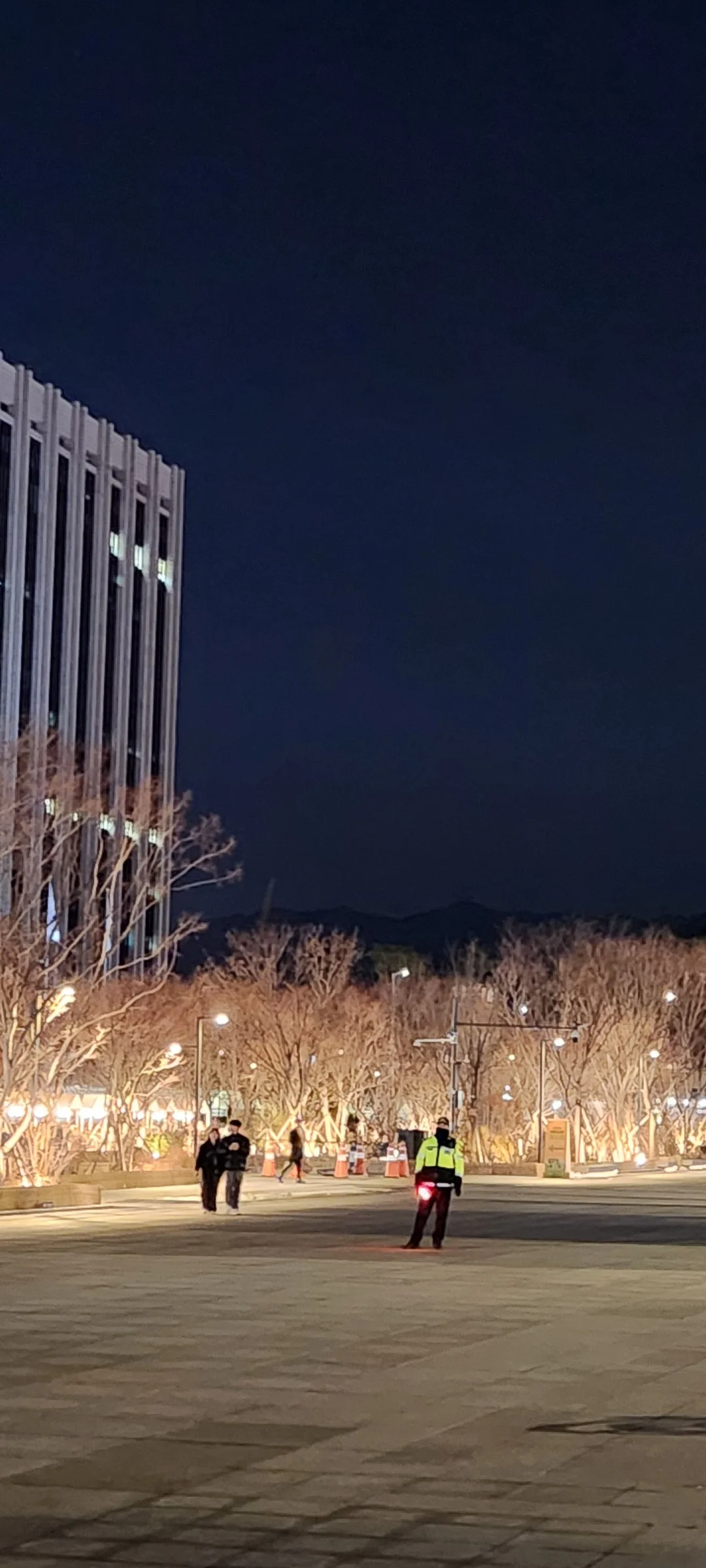 Light up your phone with the electric energy of Seoul after dark. These Korean nightscape wallpapers capture the city at its most cinematic — neon signage stacking up narrow alleyways, glowing street food stalls sending steam into cold night air, illuminated bridges spanning the Han River, and the shimmering towers of Gangnam reflected in rain-wet streets.

Seoul's nighttime personality is bold, colorful, and endlessly photogenic. You'll find the moody glow of Itaewon bars, the cyberpunk atmosphere of Euljiro's industrial blocks, and panoramic cityscapes from hilltop viewpoints where the city stretches to the horizon in every direction. Free download these aesthetic Seoul night wallpapers for a phone background that pulses with urban energy., Gwanghwamun Square, Sajik-dong, Seoul — Free Korean aesthetic wallpaper