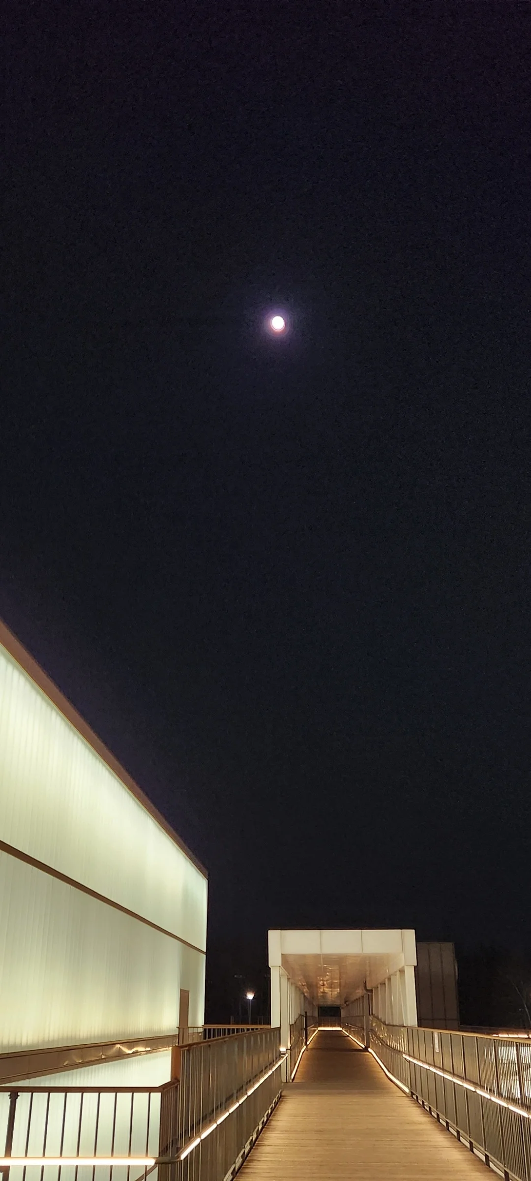 Light up your phone with the electric energy of Seoul after dark. These Korean nightscape wallpapers capture the city at its most cinematic — neon signage stacking up narrow alleyways, glowing street food stalls sending steam into cold night air, illuminated bridges spanning the Han River, and the shimmering towers of Gangnam reflected in rain-wet streets.

Seoul's nighttime personality is bold, colorful, and endlessly photogenic. You'll find the moody glow of Itaewon bars, the cyberpunk atmosphere of Euljiro's industrial blocks, and panoramic cityscapes from hilltop viewpoints where the city stretches to the horizon in every direction. Free download these aesthetic Seoul night wallpapers for a phone background that pulses with urban energy., Yangnyeong-ro, Ichon 2(i)-dong, Seoul — Free Korean aesthetic wallpaper