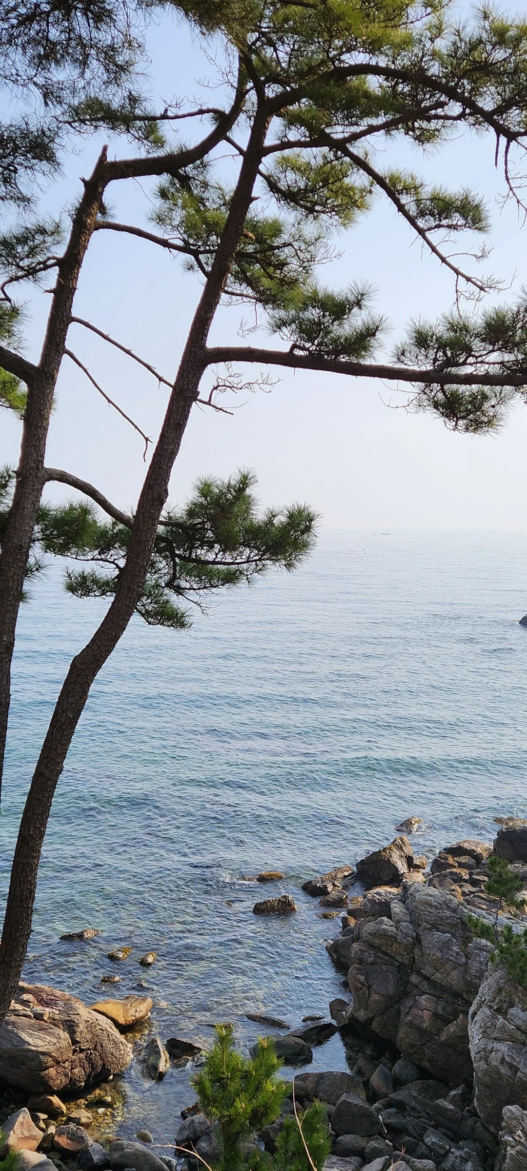 Bring the Korean coastline to your phone with these breathtaking ocean wallpapers. Korea is surrounded by water on three sides, and this collection captures it all — the turquoise shallows of Jeju's beaches, dramatic basalt cliffs plunging into the East Sea, tranquil fishing harbors at dawn, and endless Pacific horizons glowing under golden light.

These photos feature crashing waves against volcanic rock formations, serene island silhouettes at sunset, lighthouse beacons cutting through coastal fog, and the mirror-still surface of sheltered bays reflecting cotton-candy skies. Download these free Korean sea wallpapers for an aesthetic phone background that carries the calm and power of the ocean wherever you go., 낙산사로, Ganghyeon — Free Korean aesthetic wallpaper