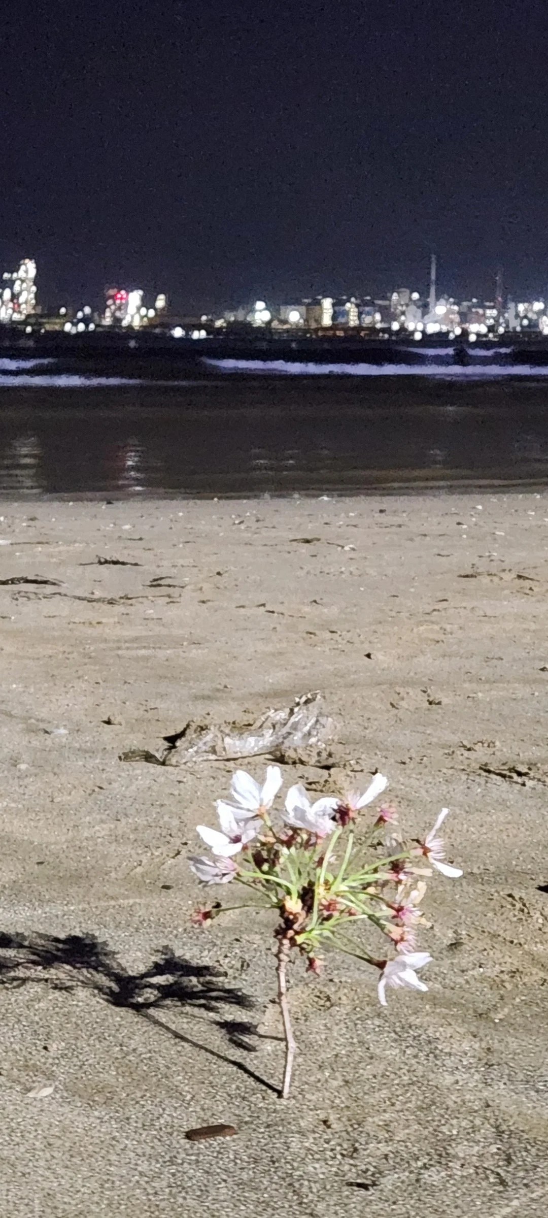 Light up your phone with the electric energy of Seoul after dark. These Korean nightscape wallpapers capture the city at its most cinematic — neon signage stacking up narrow alleyways, glowing street food stalls sending steam into cold night air, illuminated bridges spanning the Han River, and the shimmering towers of Gangnam reflected in rain-wet streets.

Seoul's nighttime personality is bold, colorful, and endlessly photogenic. You'll find the moody glow of Itaewon bars, the cyberpunk atmosphere of Euljiro's industrial blocks, and panoramic cityscapes from hilltop viewpoints where the city stretches to the horizon in every direction. Free download these aesthetic Seoul night wallpapers for a phone background that pulses with urban energy., Haean-ro, Duho-dong, Pohang-si — Free Korean aesthetic wallpaper