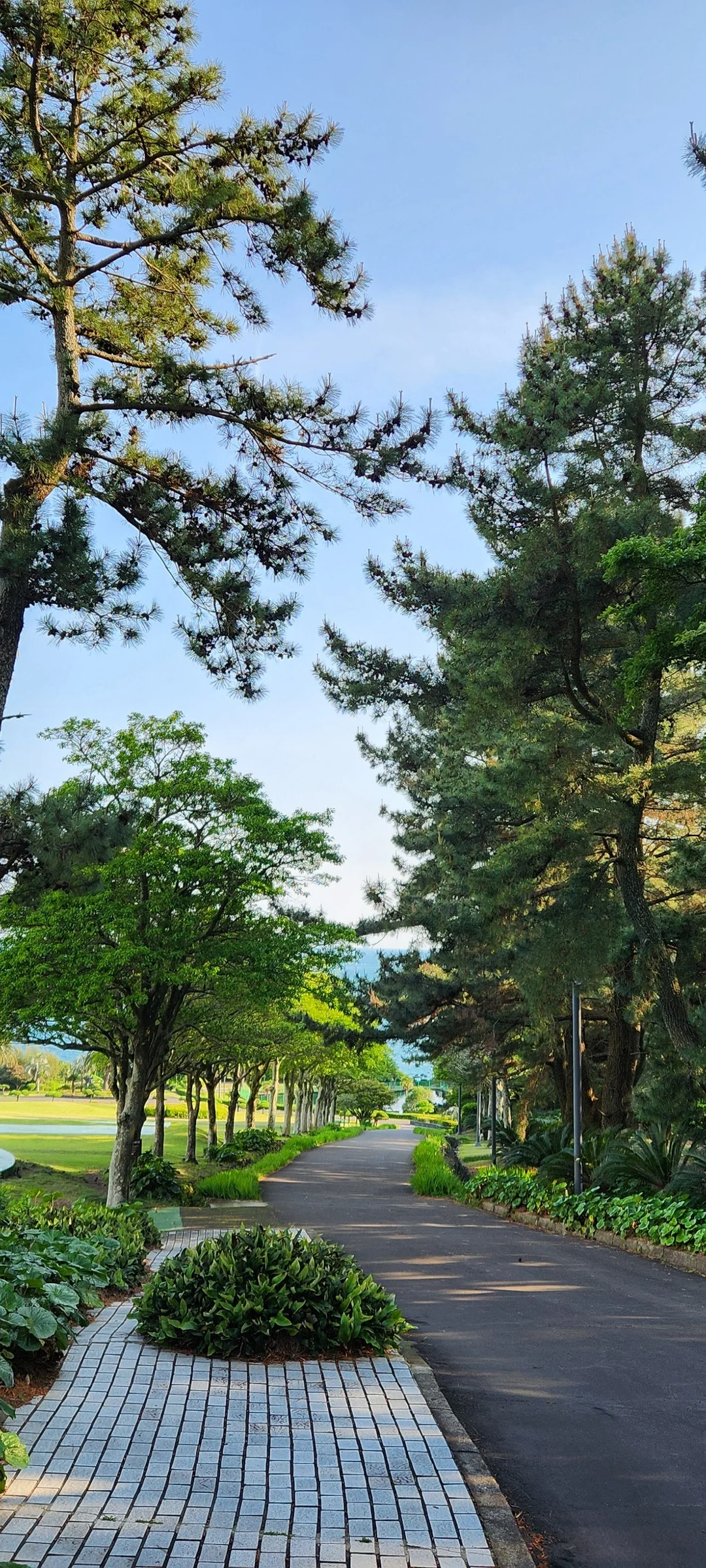 Immerse your screen in the untouched beauty of Korea's natural world. These Korean wallpapers feature sweeping countryside fields blanketed in green, hidden valleys where morning mist clings to the hillsides, and winding streams cutting through rocky terrain. Each photo captures the raw, peaceful energy that makes Korea's landscapes so distinctive.

From the volcanic plains of Jeju Island to the lush wetlands of Suncheon Bay, this collection showcases nature in every mood — dramatic storm clouds rolling over ridgelines, golden sunlight filtering through canopy gaps, and wildflower meadows stretching toward distant peaks. Download these aesthetic phone backgrounds for free and bring a moment of Korean tranquility to your daily life., Songsan-dong, Seogwipo-si — Free Korean aesthetic wallpaper