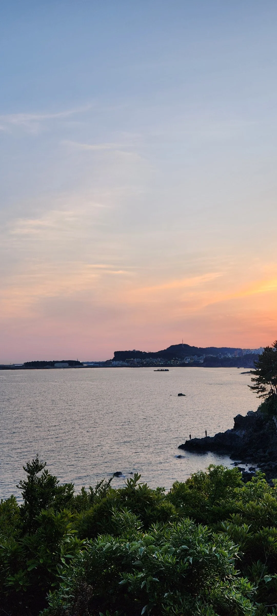 Immerse your screen in the untouched beauty of Korea's natural world. These Korean wallpapers feature sweeping countryside fields blanketed in green, hidden valleys where morning mist clings to the hillsides, and winding streams cutting through rocky terrain. Each photo captures the raw, peaceful energy that makes Korea's landscapes so distinctive.

From the volcanic plains of Jeju Island to the lush wetlands of Suncheon Bay, this collection showcases nature in every mood — dramatic storm clouds rolling over ridgelines, golden sunlight filtering through canopy gaps, and wildflower meadows stretching toward distant peaks. Download these aesthetic phone backgrounds for free and bring a moment of Korean tranquility to your daily life., Bomok-ro 64beon-gil, Bomok-dong, Songsan-dong, Seogwipo-si — Free Korean aesthetic wallpaper