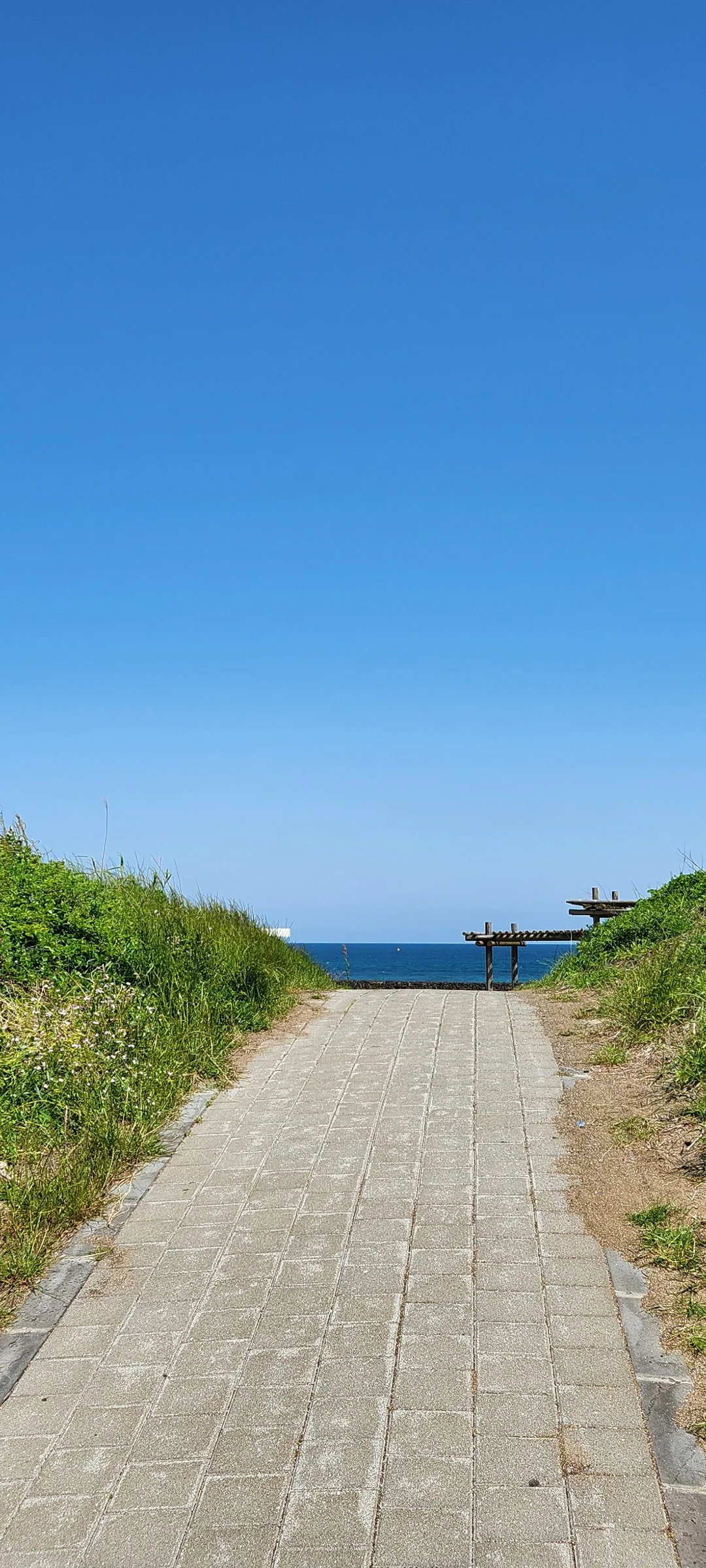 Immerse your screen in the untouched beauty of Korea's natural world. These Korean wallpapers feature sweeping countryside fields blanketed in green, hidden valleys where morning mist clings to the hillsides, and winding streams cutting through rocky terrain. Each photo captures the raw, peaceful energy that makes Korea's landscapes so distinctive.

From the volcanic plains of Jeju Island to the lush wetlands of Suncheon Bay, this collection showcases nature in every mood — dramatic storm clouds rolling over ridgelines, golden sunlight filtering through canopy gaps, and wildflower meadows stretching toward distant peaks. Download these aesthetic phone backgrounds for free and bring a moment of Korean tranquility to your daily life., Ilchul-ro, Seogwipo-si — Free Korean aesthetic wallpaper