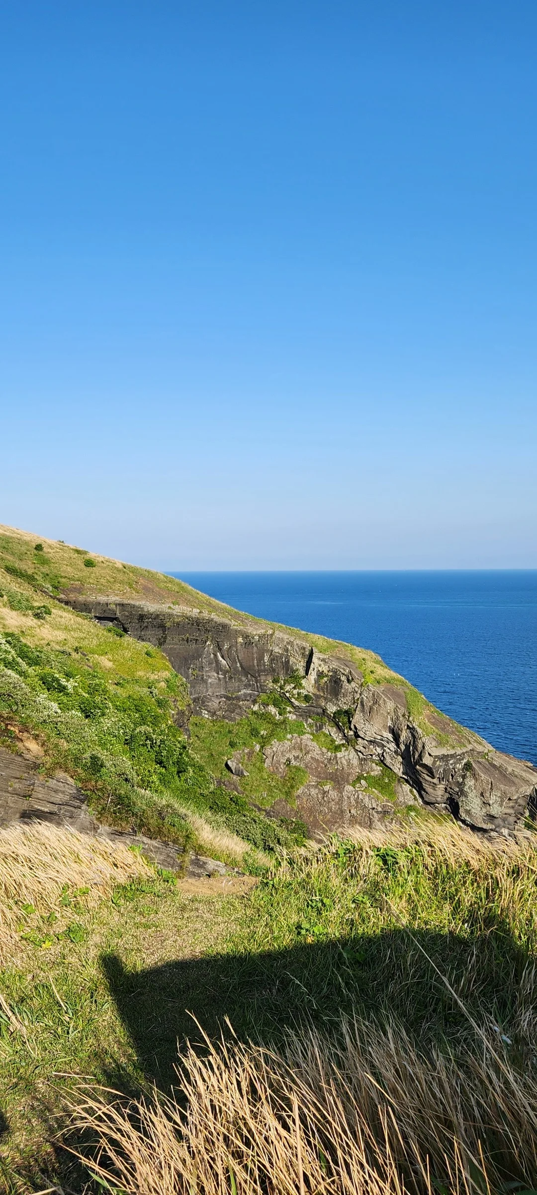 Immerse your screen in the untouched beauty of Korea's natural world. These Korean wallpapers feature sweeping countryside fields blanketed in green, hidden valleys where morning mist clings to the hillsides, and winding streams cutting through rocky terrain. Each photo captures the raw, peaceful energy that makes Korea's landscapes so distinctive.

From the volcanic plains of Jeju Island to the lush wetlands of Suncheon Bay, this collection showcases nature in every mood — dramatic storm clouds rolling over ridgelines, golden sunlight filtering through canopy gaps, and wildflower meadows stretching toward distant peaks. Download these aesthetic phone backgrounds for free and bring a moment of Korean tranquility to your daily life., Yeonpyeong-ri, Jeju — Free Korean aesthetic wallpaper