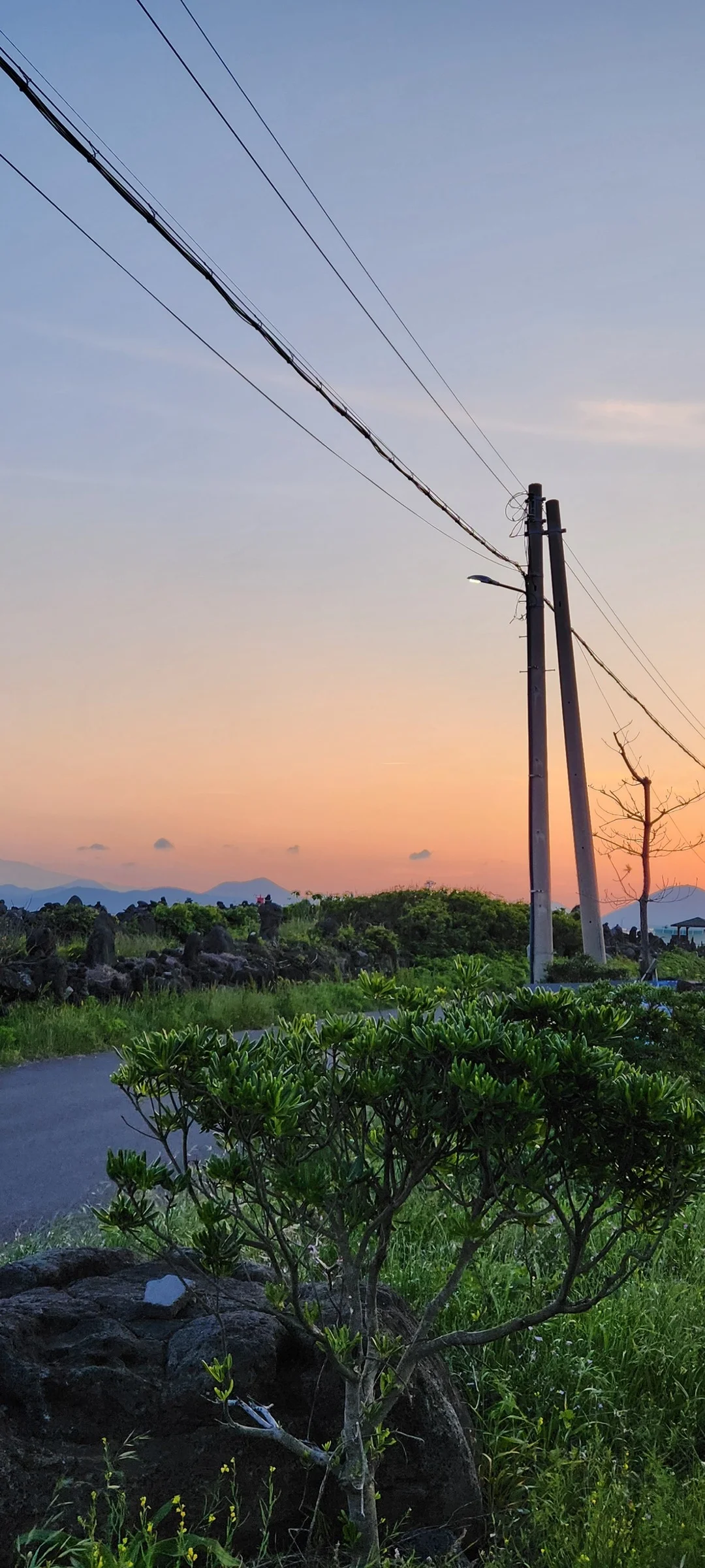 Immerse your screen in the untouched beauty of Korea's natural world. These Korean wallpapers feature sweeping countryside fields blanketed in green, hidden valleys where morning mist clings to the hillsides, and winding streams cutting through rocky terrain. Each photo captures the raw, peaceful energy that makes Korea's landscapes so distinctive.

From the volcanic plains of Jeju Island to the lush wetlands of Suncheon Bay, this collection showcases nature in every mood — dramatic storm clouds rolling over ridgelines, golden sunlight filtering through canopy gaps, and wildflower meadows stretching toward distant peaks. Download these aesthetic phone backgrounds for free and bring a moment of Korean tranquility to your daily life., Udohaean-gil, Jeju — Free Korean aesthetic wallpaper