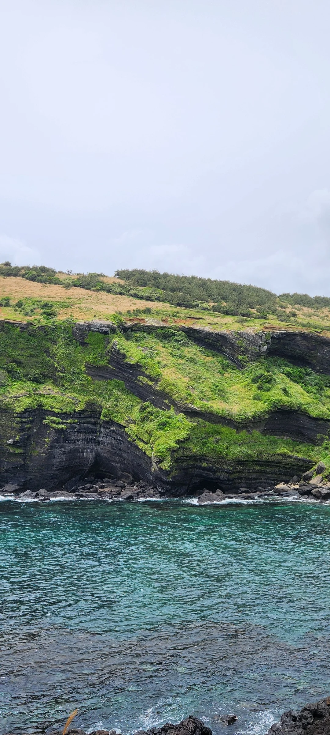 Immerse your screen in the untouched beauty of Korea's natural world. These Korean wallpapers feature sweeping countryside fields blanketed in green, hidden valleys where morning mist clings to the hillsides, and winding streams cutting through rocky terrain. Each photo captures the raw, peaceful energy that makes Korea's landscapes so distinctive.

From the volcanic plains of Jeju Island to the lush wetlands of Suncheon Bay, this collection showcases nature in every mood — dramatic storm clouds rolling over ridgelines, golden sunlight filtering through canopy gaps, and wildflower meadows stretching toward distant peaks. Download these aesthetic phone backgrounds for free and bring a moment of Korean tranquility to your daily life., Udohaean-gil, Jeju — Free Korean aesthetic wallpaper